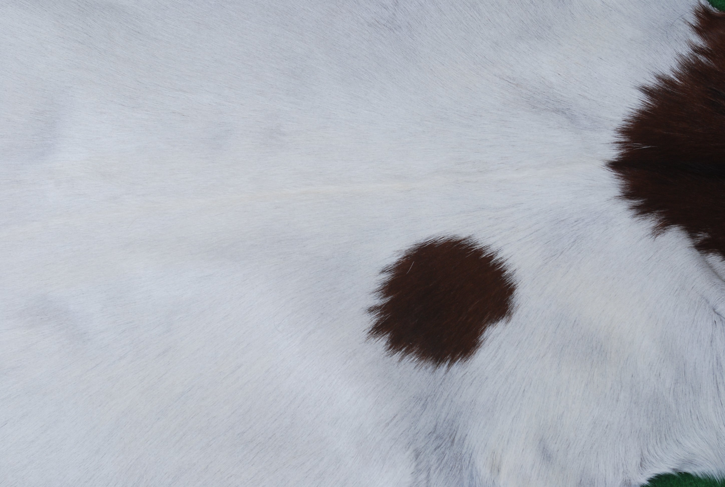 Rustic Dark Brown Goat Hide Rug - Genuine Leather for Timeless Home Styling