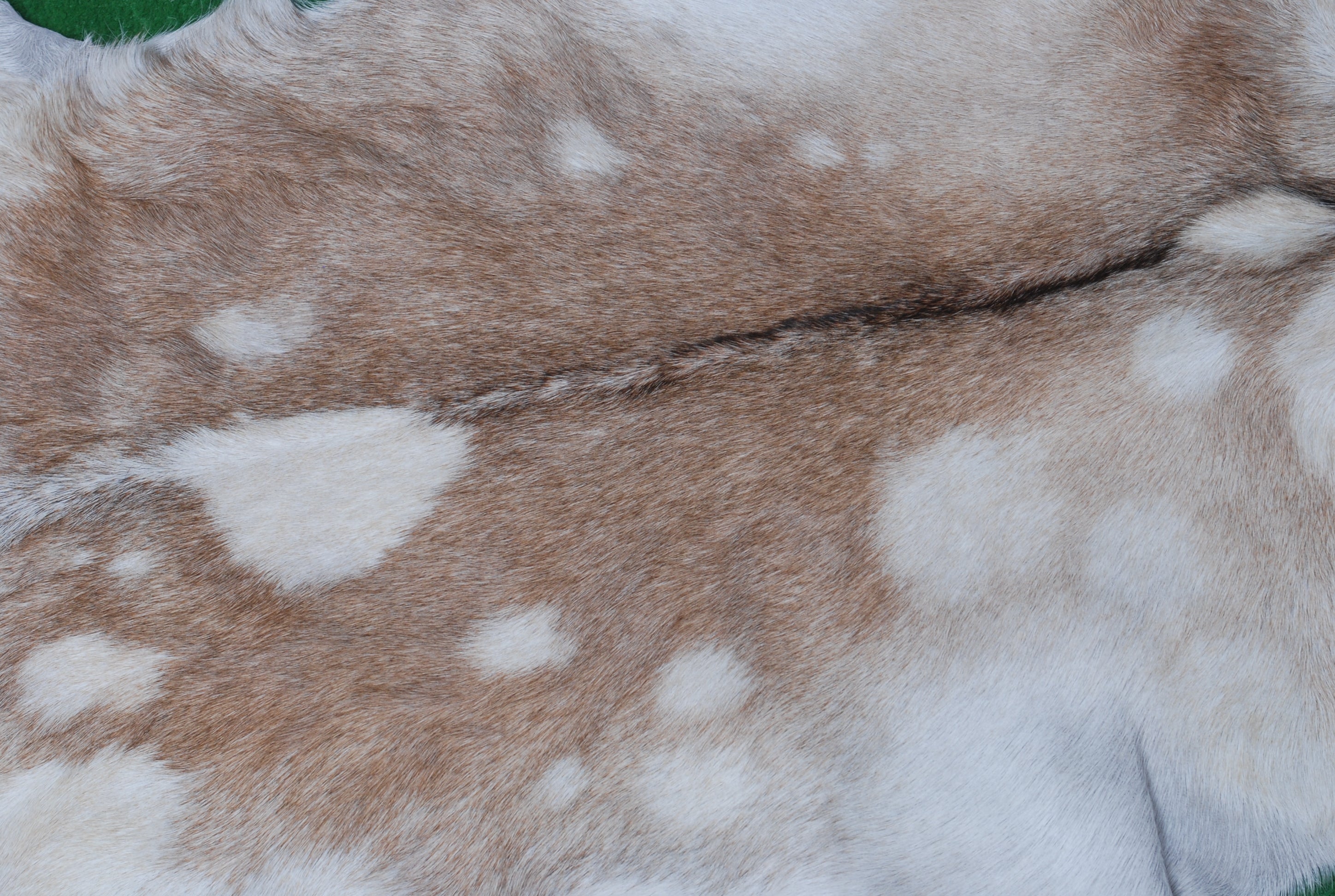 Brown and White Handmade Goat Skin Rug – Classic Elegance for Your Home