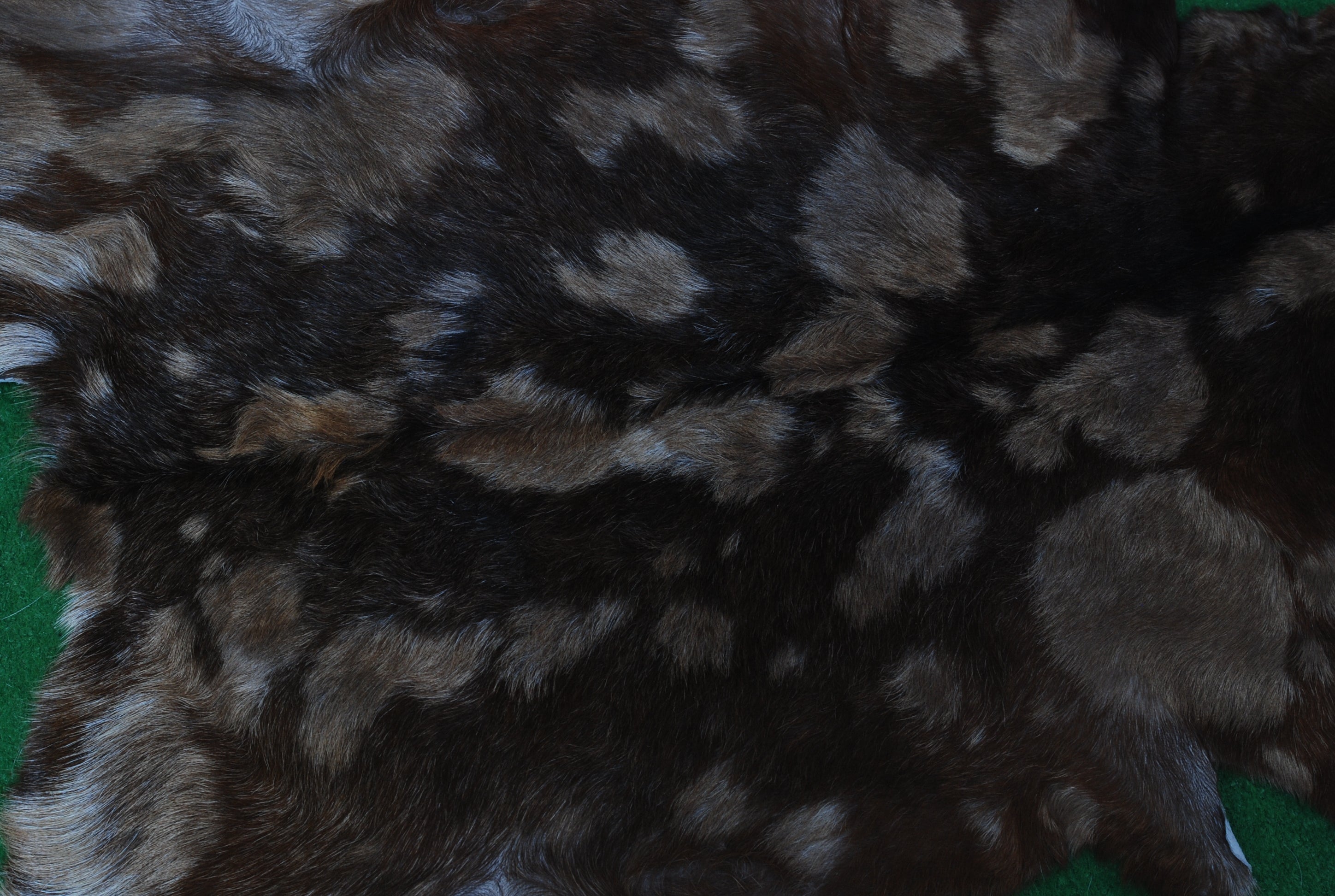 Goat Skin Rug: Tri-Color genuine Goat hide rug