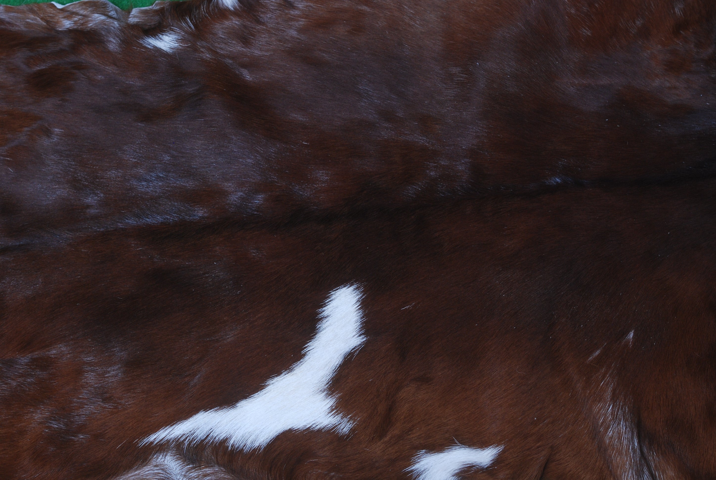 Luxurious Brown and White Goat Hide Rug - Premium Handcrafted Hair-On Goatskin Rug for Elegant Home Decor - Celestial Leather Limited