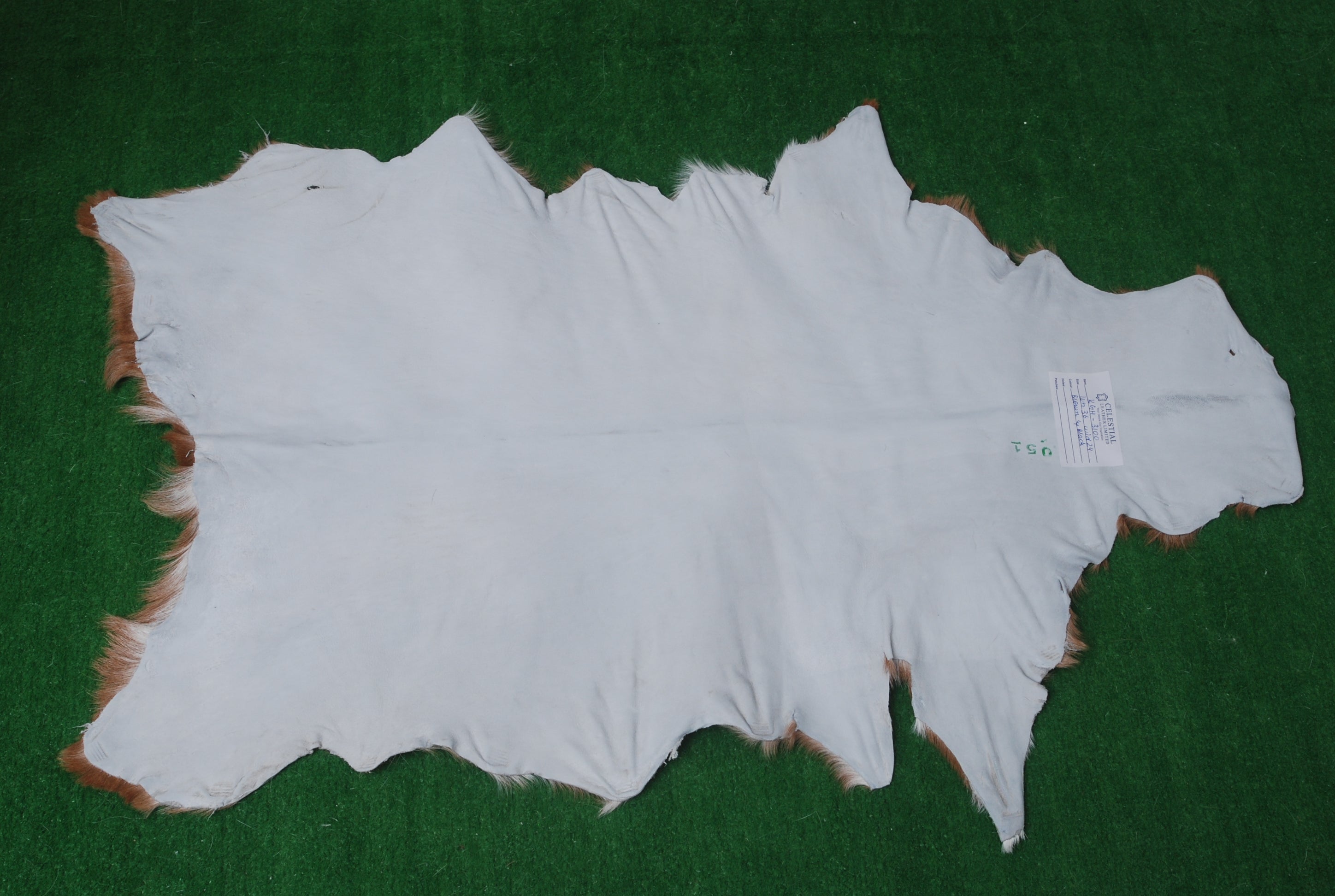 Luxury Brown & White Goat Hide Rug | Premium Hair-On Skin | Handpicked - Handcrafted | Non-Slip Suede Back | Sustainable - Eco-Friendly