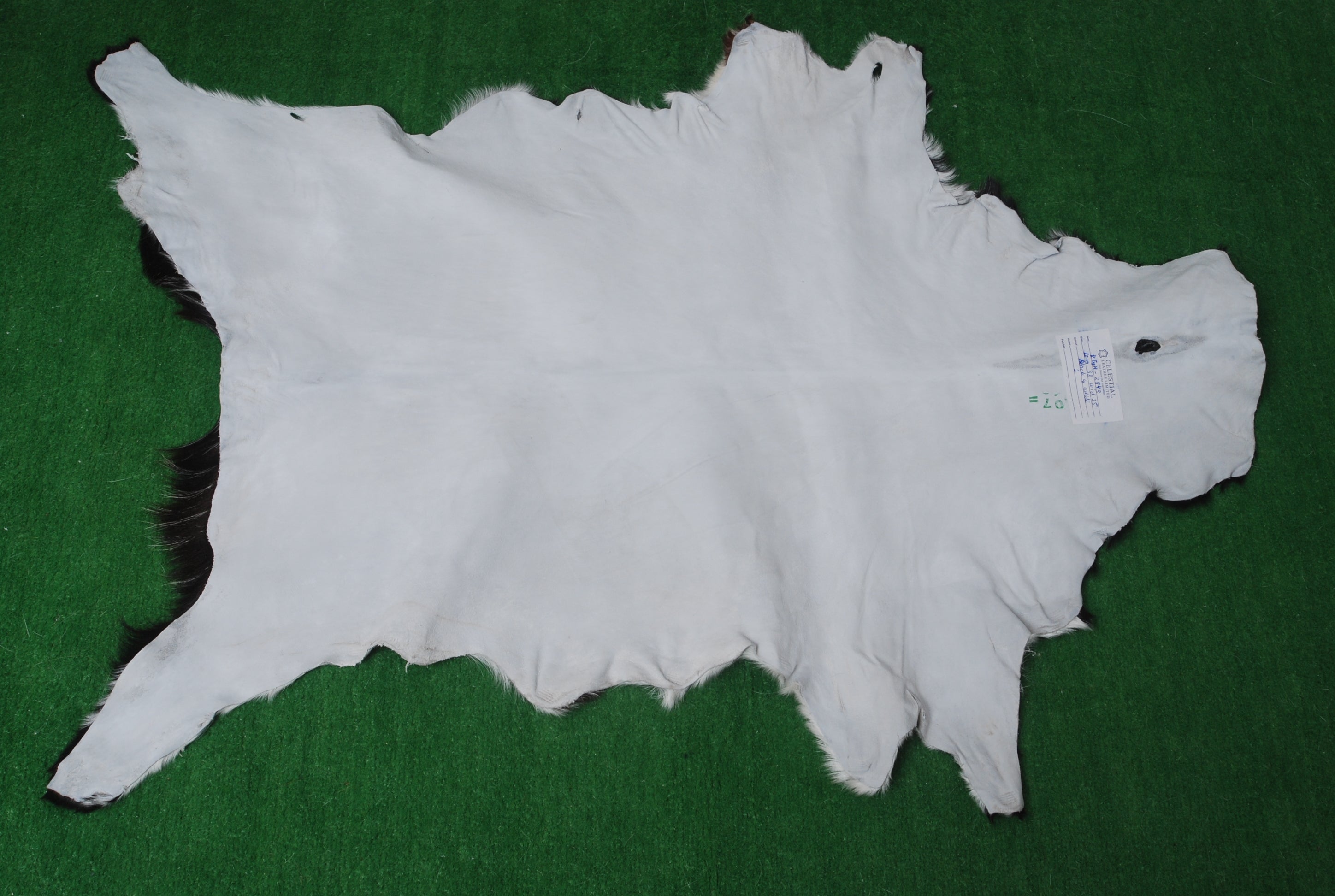 Luxurious Black & White Goat Skin Rug- Home Décor Floor Rug - Celestial Leather Limited