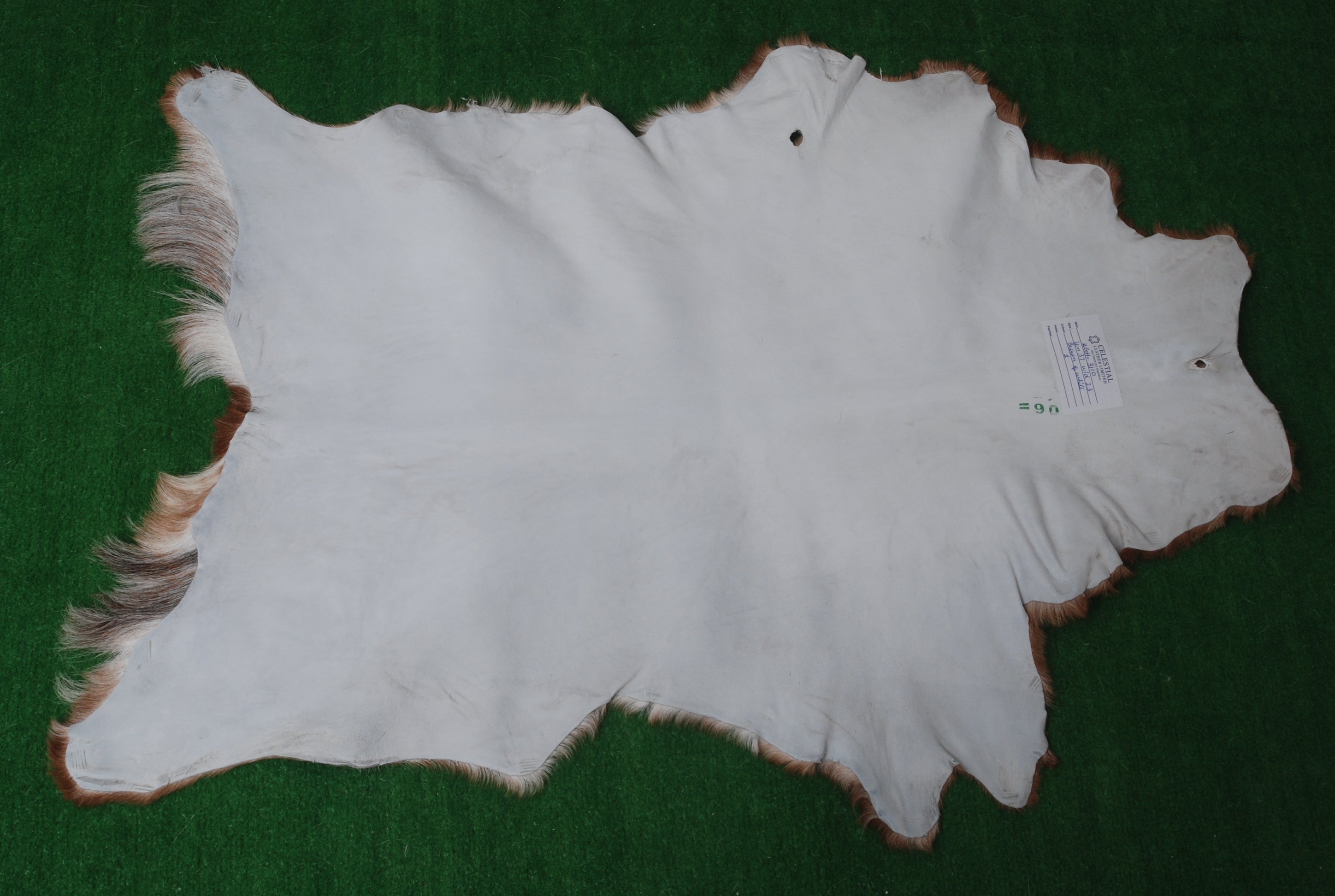 Authentic Dark Brown Goat Hide Rug - Unique Pattern for Modern and Classic Décor