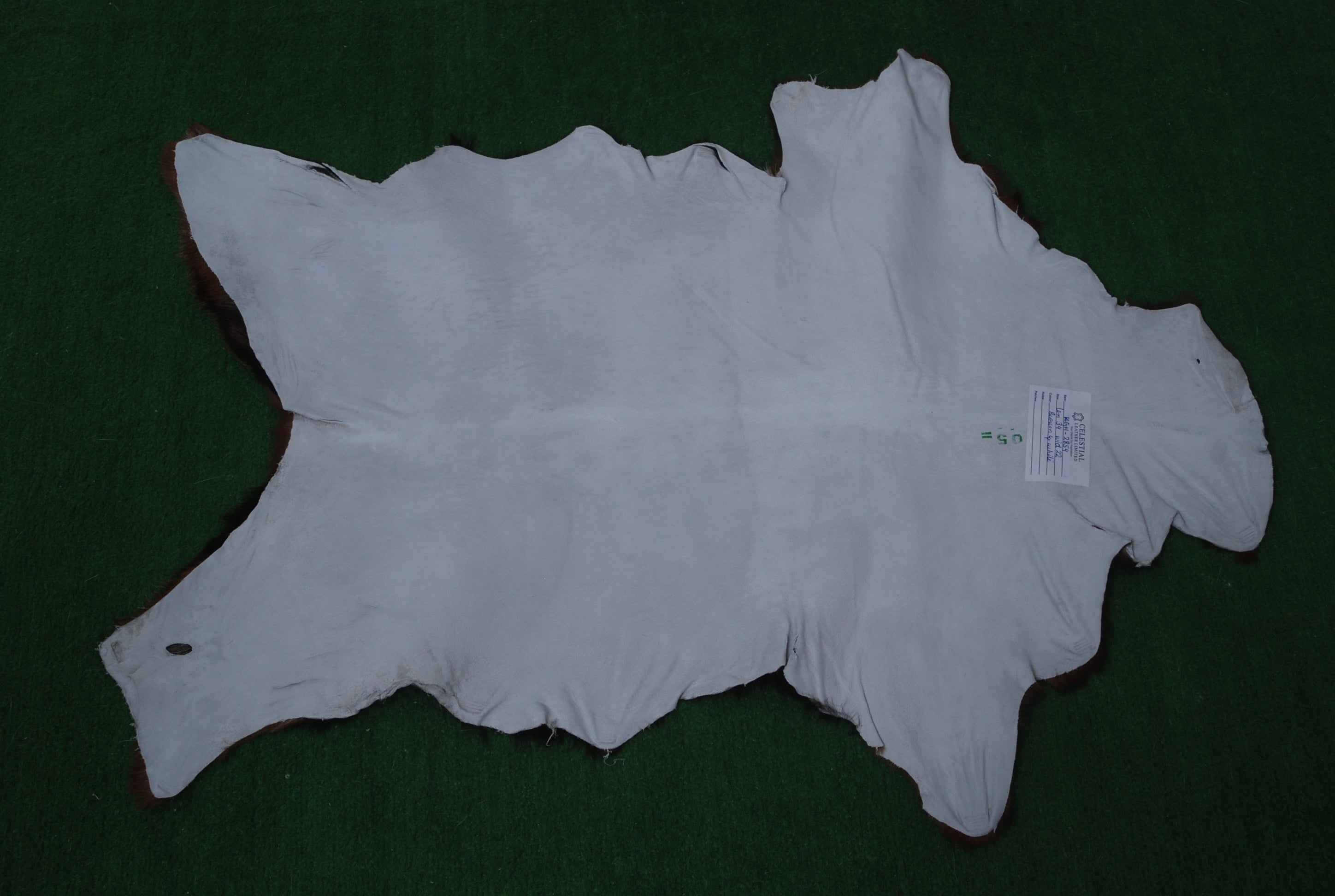 Luxurious Brown & White Goat Hide Rug - Premium Hair-On Skin Rug for Elegant Home Decor