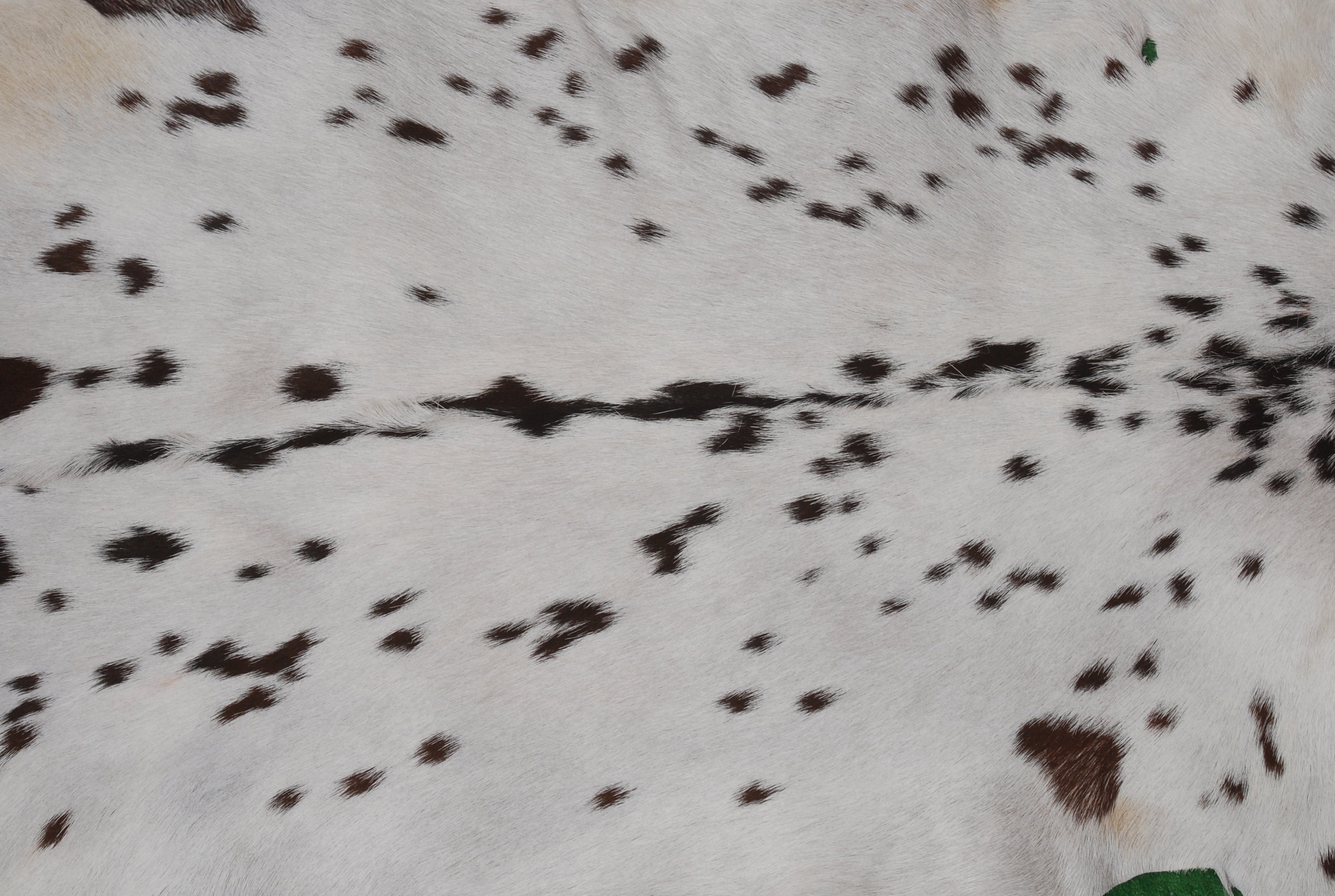 Rustic Black and White Goat Hide Rug - Perfect for Floor or Wall Décor