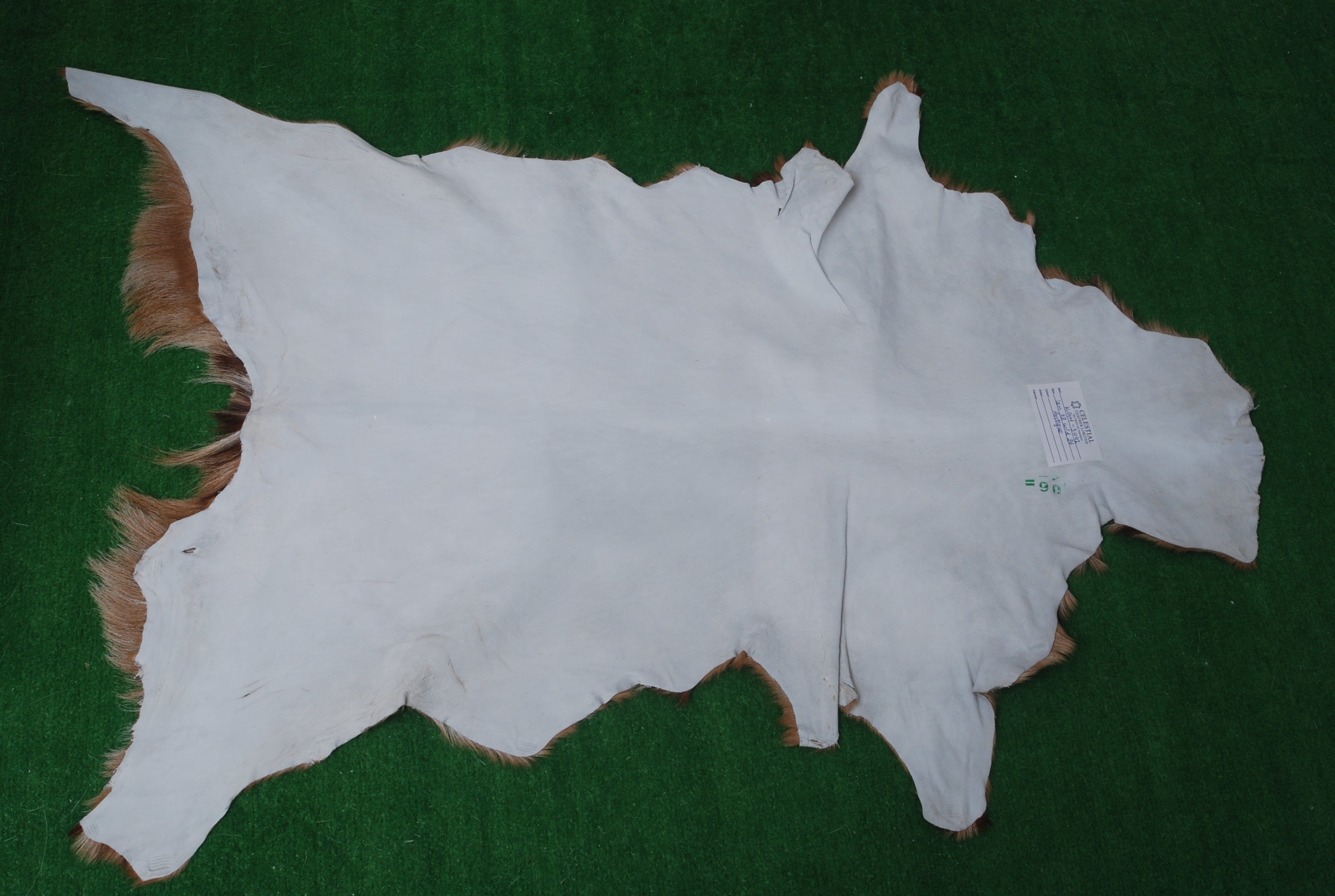 Luxury Dark Brown & White Goat Skin Rug - Handmade, Soft, Non-Shedding, Eco-Friendly, Unique Colour Variations, Hypoallergenic, Non-Slip Suede Back