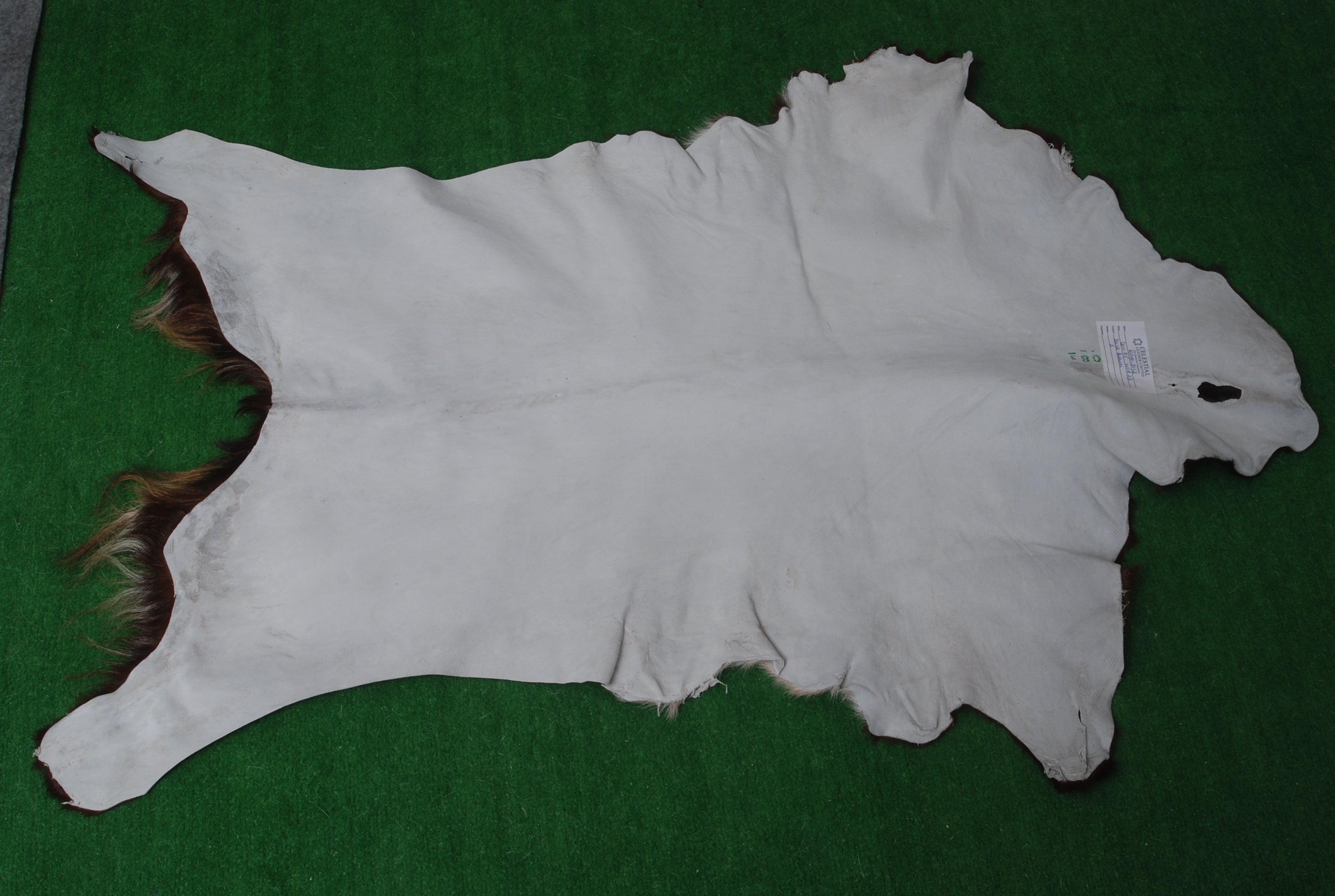 Luxury Dark Brown Goat Skin Floor Rug - Handmade from 100% Pure Goat Skin, Non-Shedding, Kid & Pet-Friendly, Eco-Friendly and Sustainable - Celestial Leather Limited