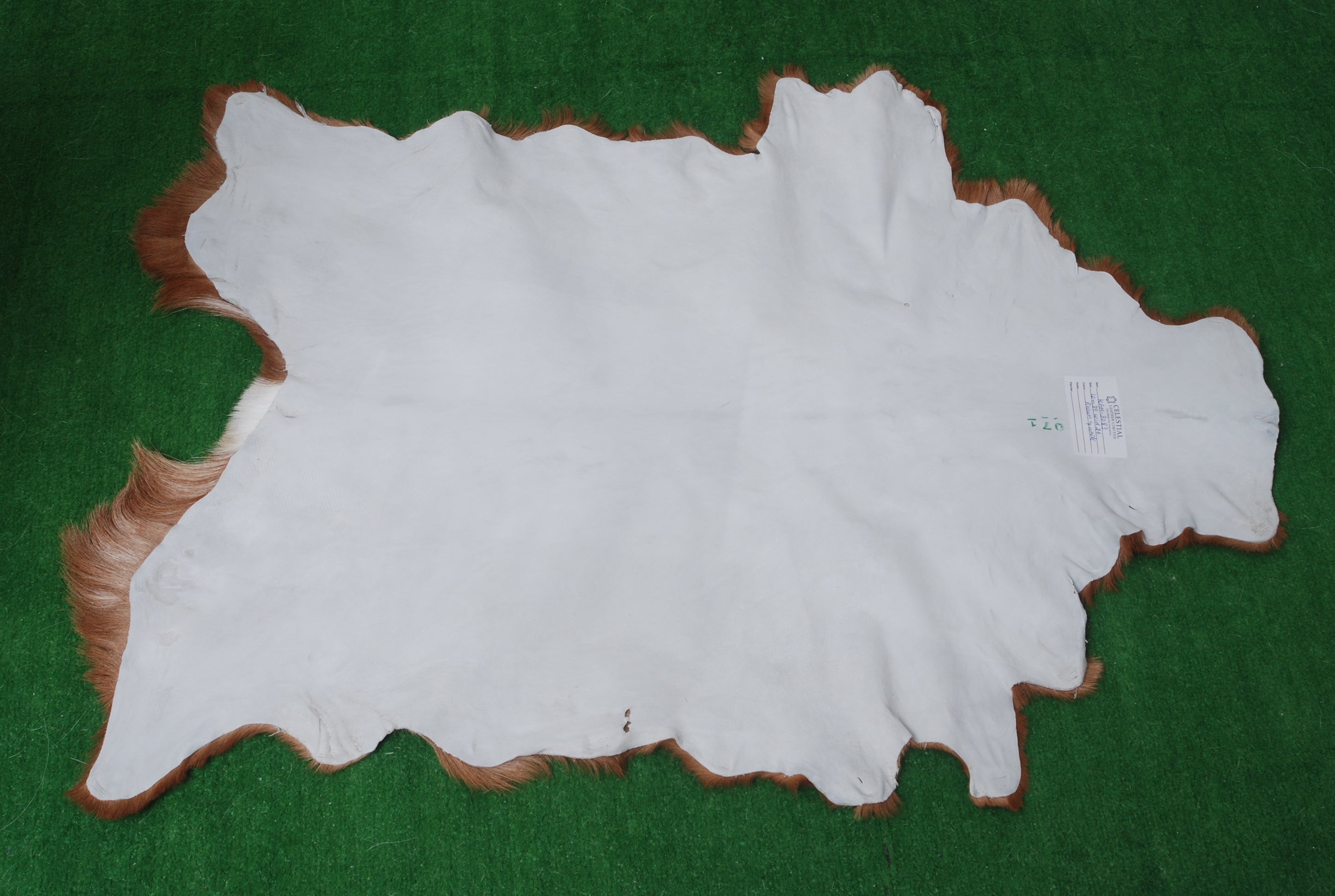 Rustic Dark Brown Goat Hide Rug - Genuine Leather for Timeless Home Styling