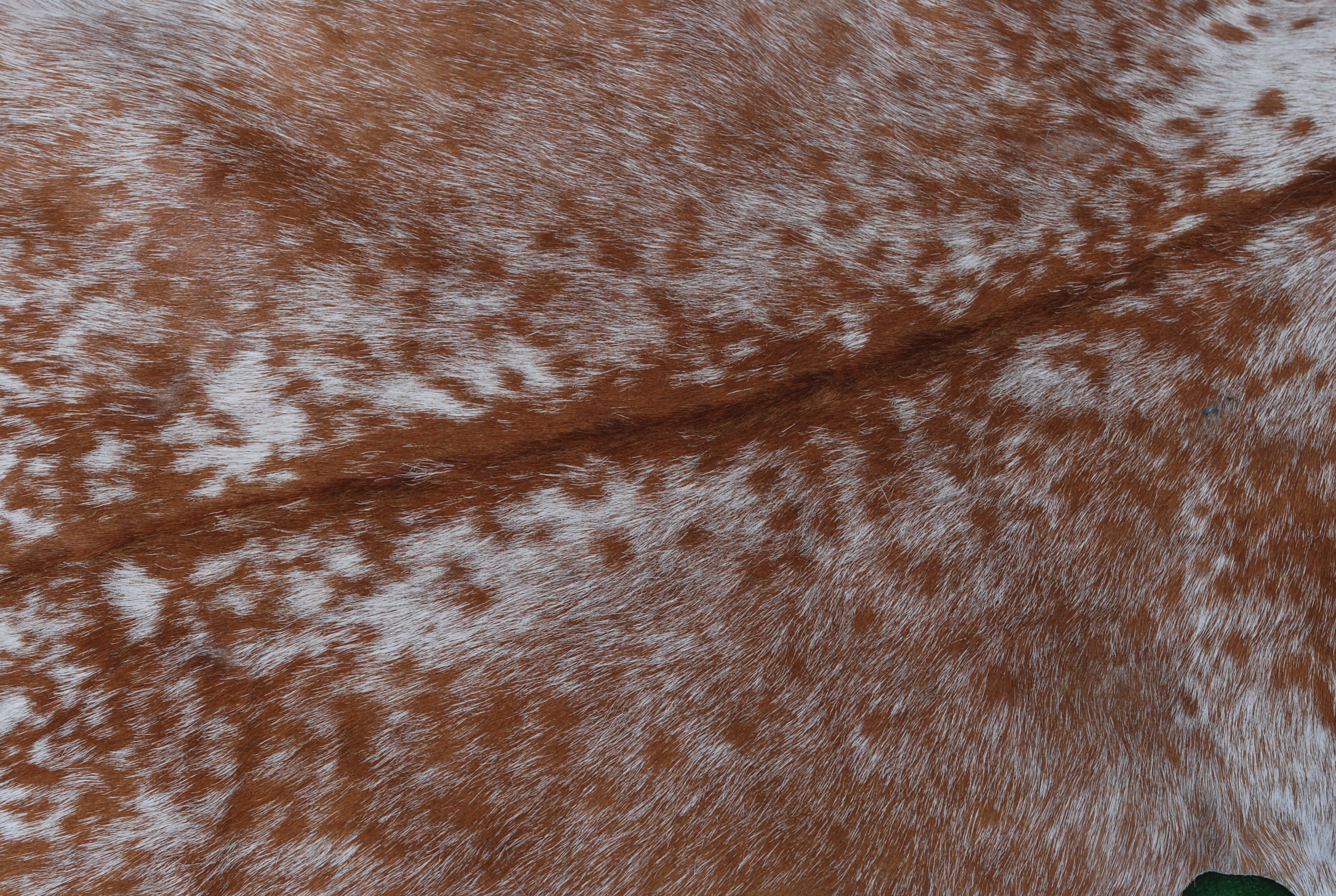 Luxury Brown and White Goat Hide Rug - Handpicked Premium Natural Goat Skin Rug with Unique Patterns and Non-Slip Suede Back - Celestial Leather Limited