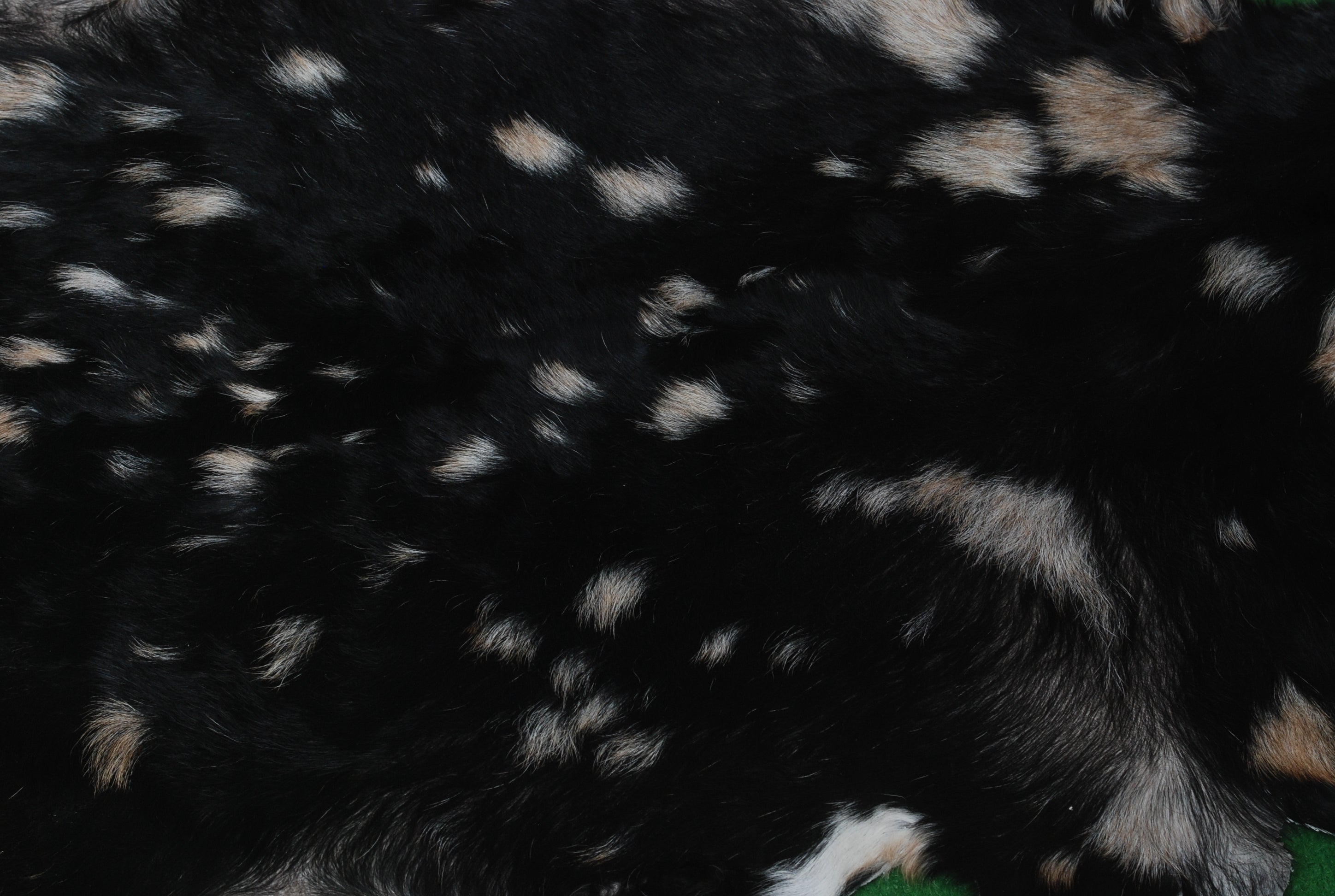 Handcrafted Black and White Goat Skin Rug - Soft and Durable Hair-On Leather