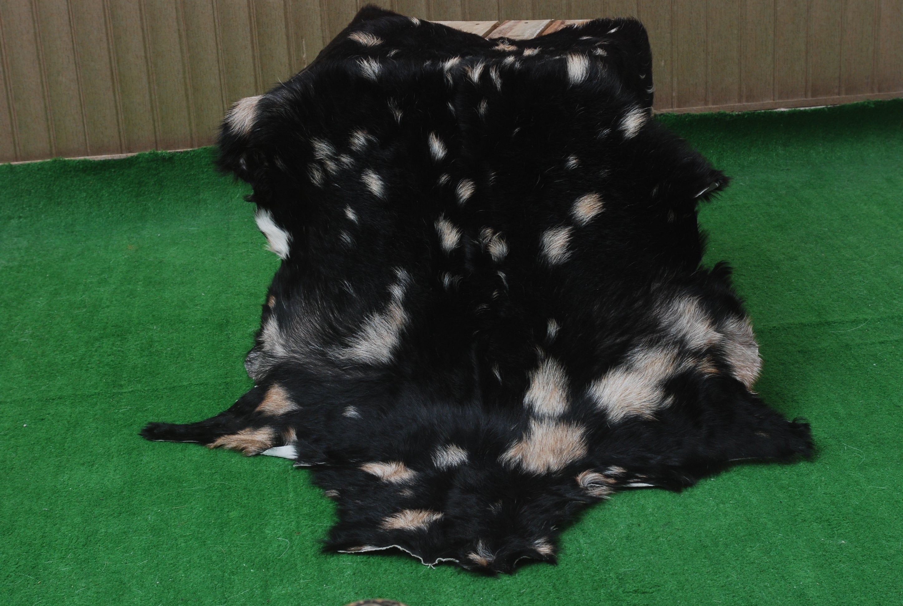 Handcrafted Black and White Goat Skin Rug - Soft and Durable Hair-On Leather