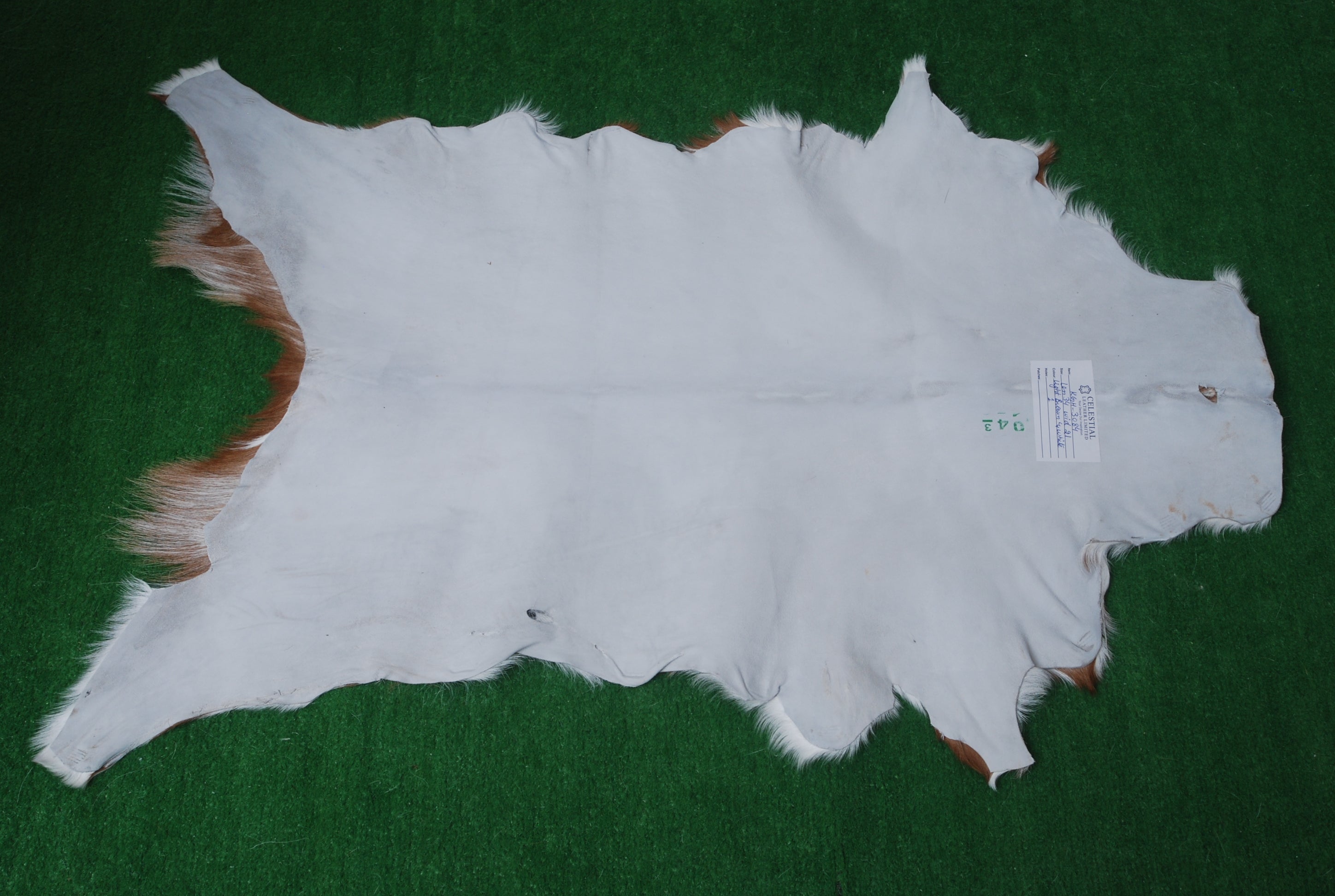 Decorative Brown and White Goat Hide Rug - Perfect for Floor or Wall Accents