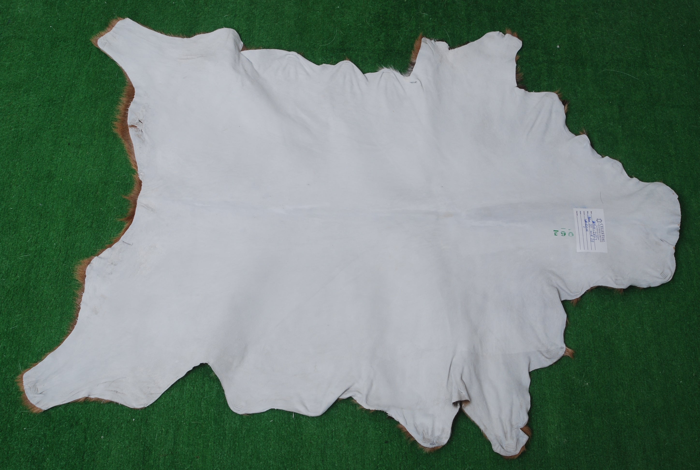 Luxurious Handmade Multicolour Goat Skin Rug - Soft, Kid & Pet-Friendly, Non-Shedding, Sustainable - Eco-Friendly - Unique Art Piece