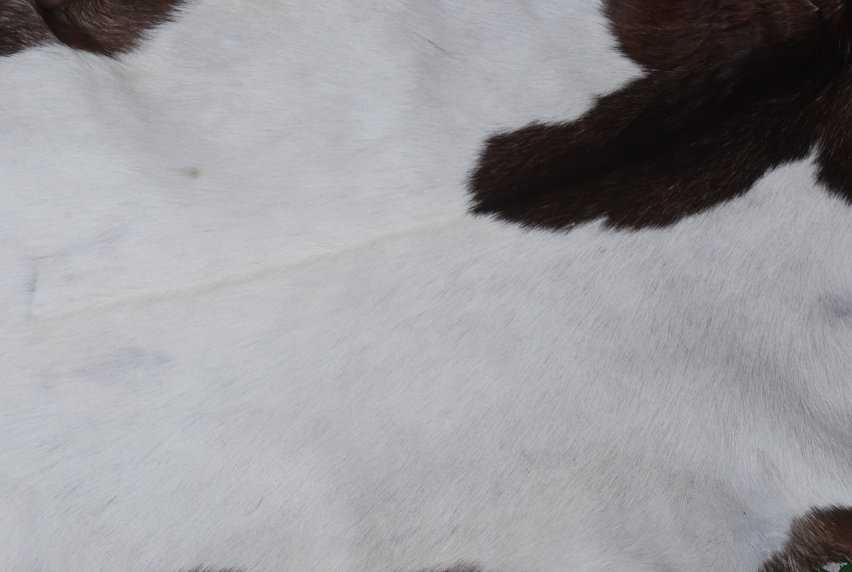 Handcrafted Dark Brown Goat Skin Rug – Authentic Elegance for Your Home