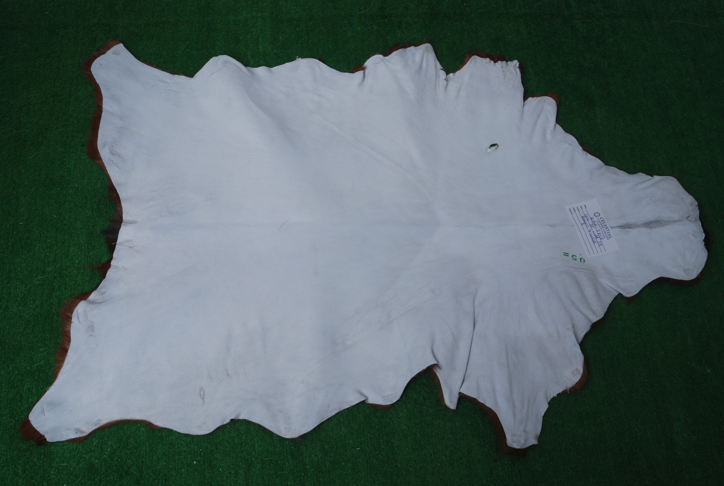 Luxurious Brown & White Hair-on Goat Skin Rug - Premium Goat Hide Rug Elegance - Sophistication for Home Décor - Hypoallergenic - Celestial Leather Limited