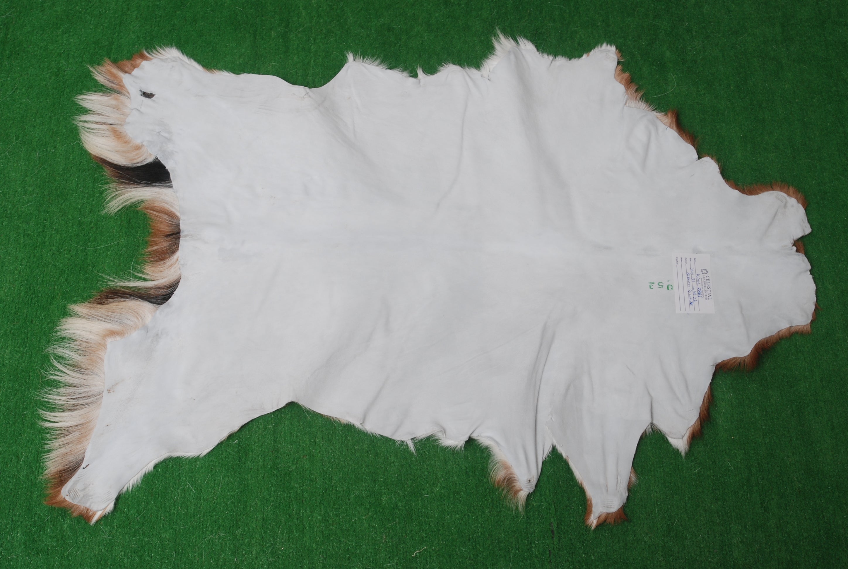 Handcrafted Dark Brown Goat Skin Rug – Authentic Elegance for Your Home