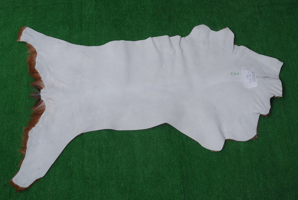 Luxury Brown & White Goat Hide Rug | Handcrafted Premium Goat Skin Rug | Eco-Friendly - Sustainable | Hypoallergenic - Non-Shedding - Celestial Leather Limited