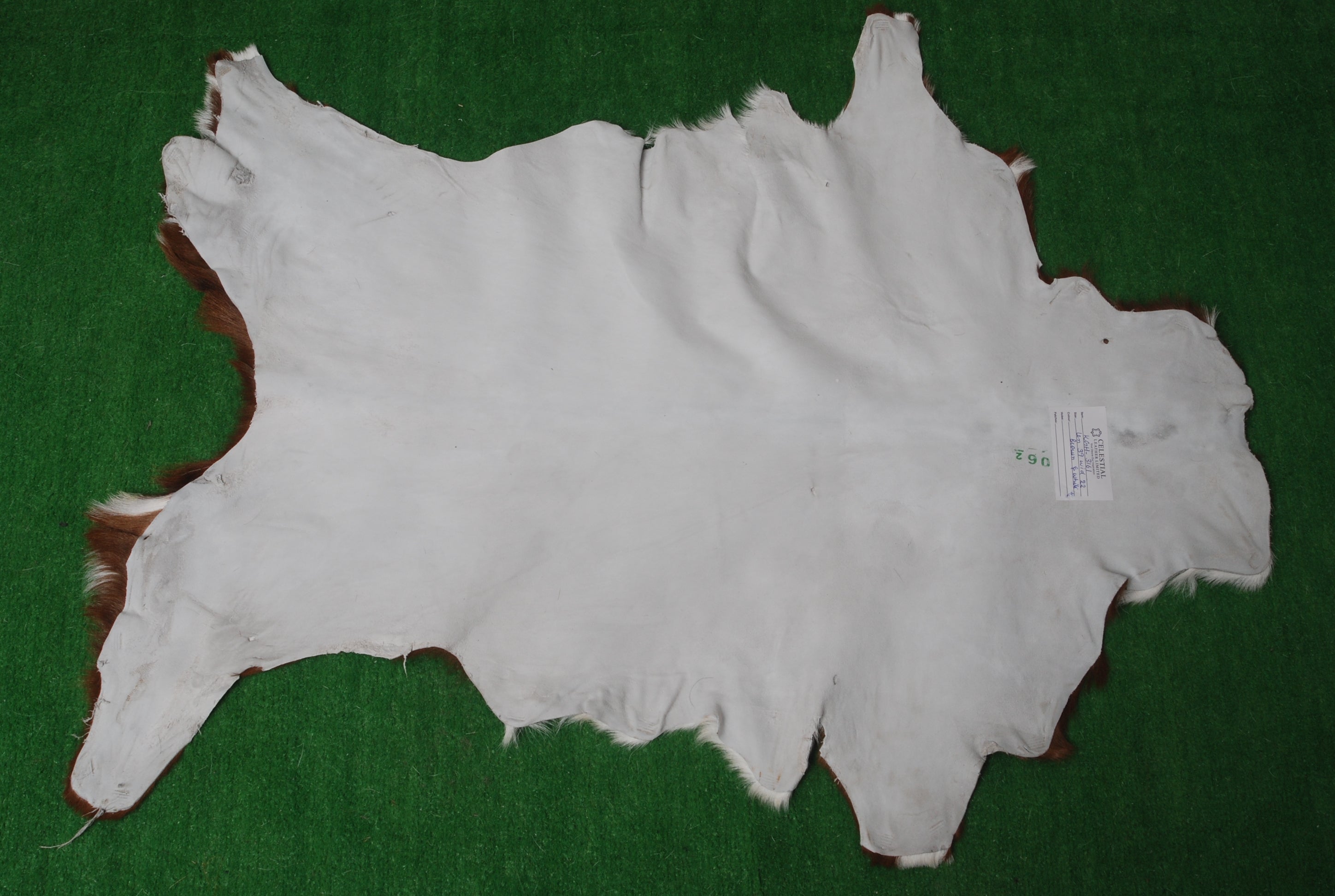 Luxurious Brown & White Goat Skin Rug - Premium Hair On Goatskin
