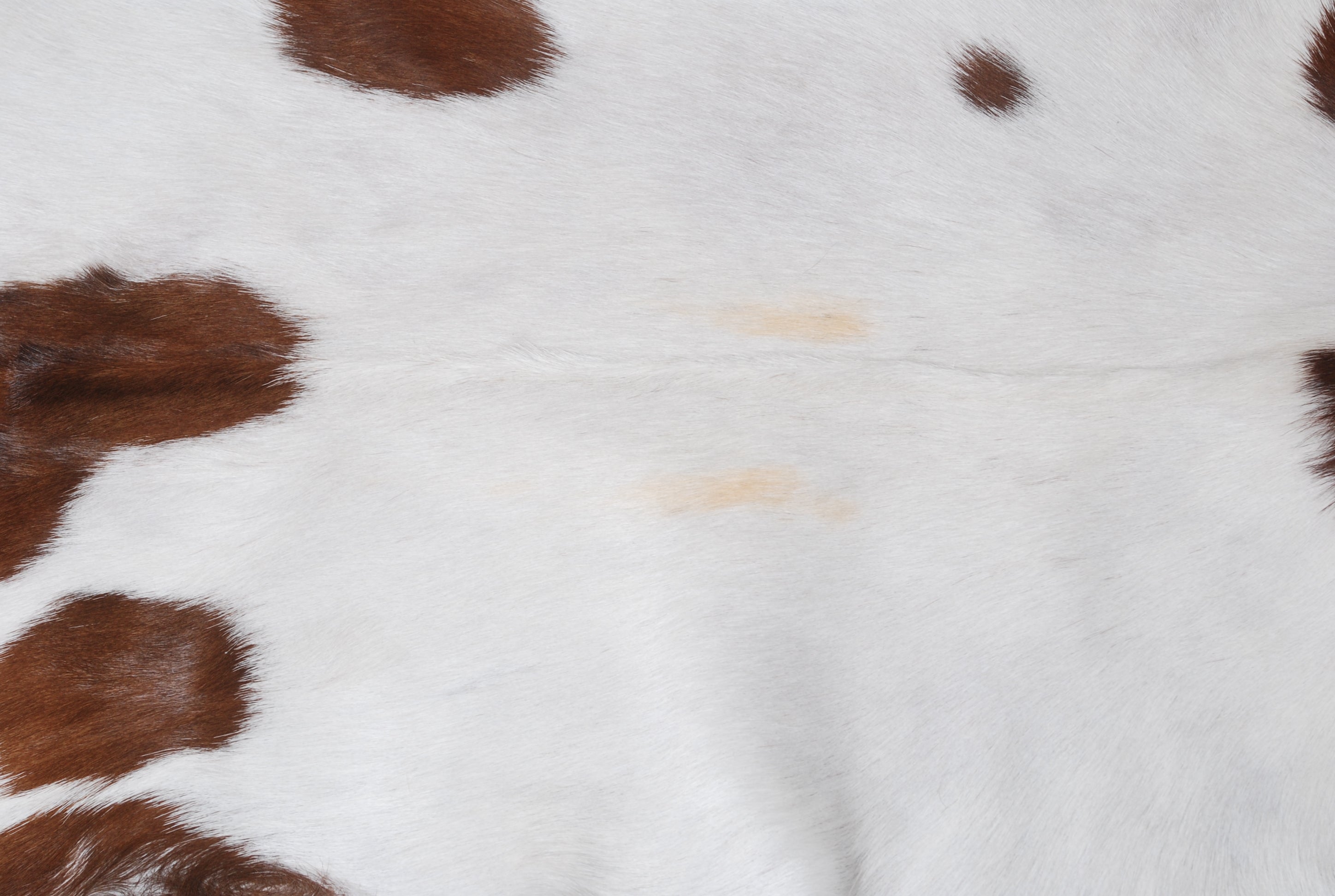 Luxurious Brown & White Goat Skin Rug - Premium Hair On Goatskin