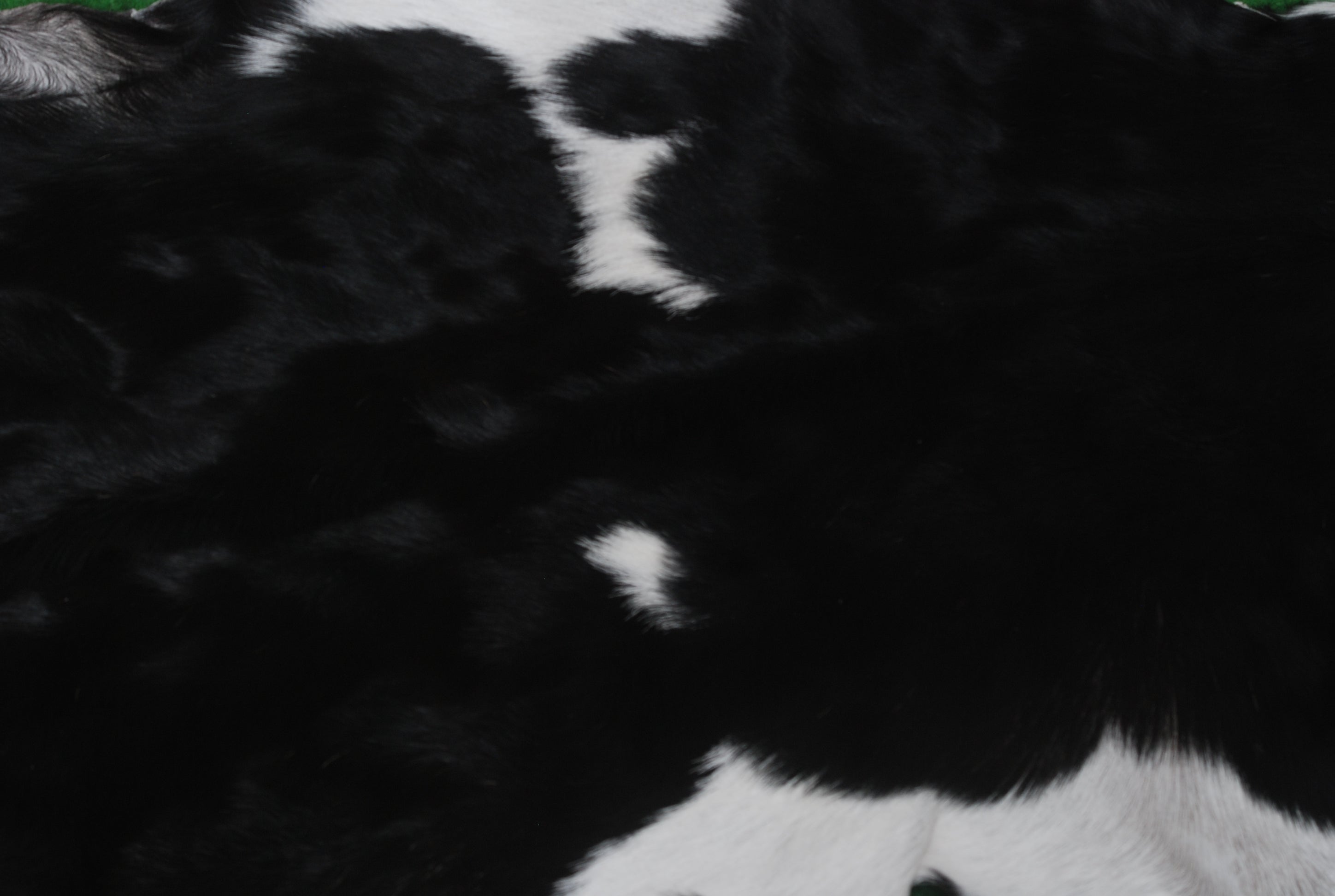 Luxurious Black & White Goat Skin Rug - Unique Natural Pattern - Celestial Leather Limited
