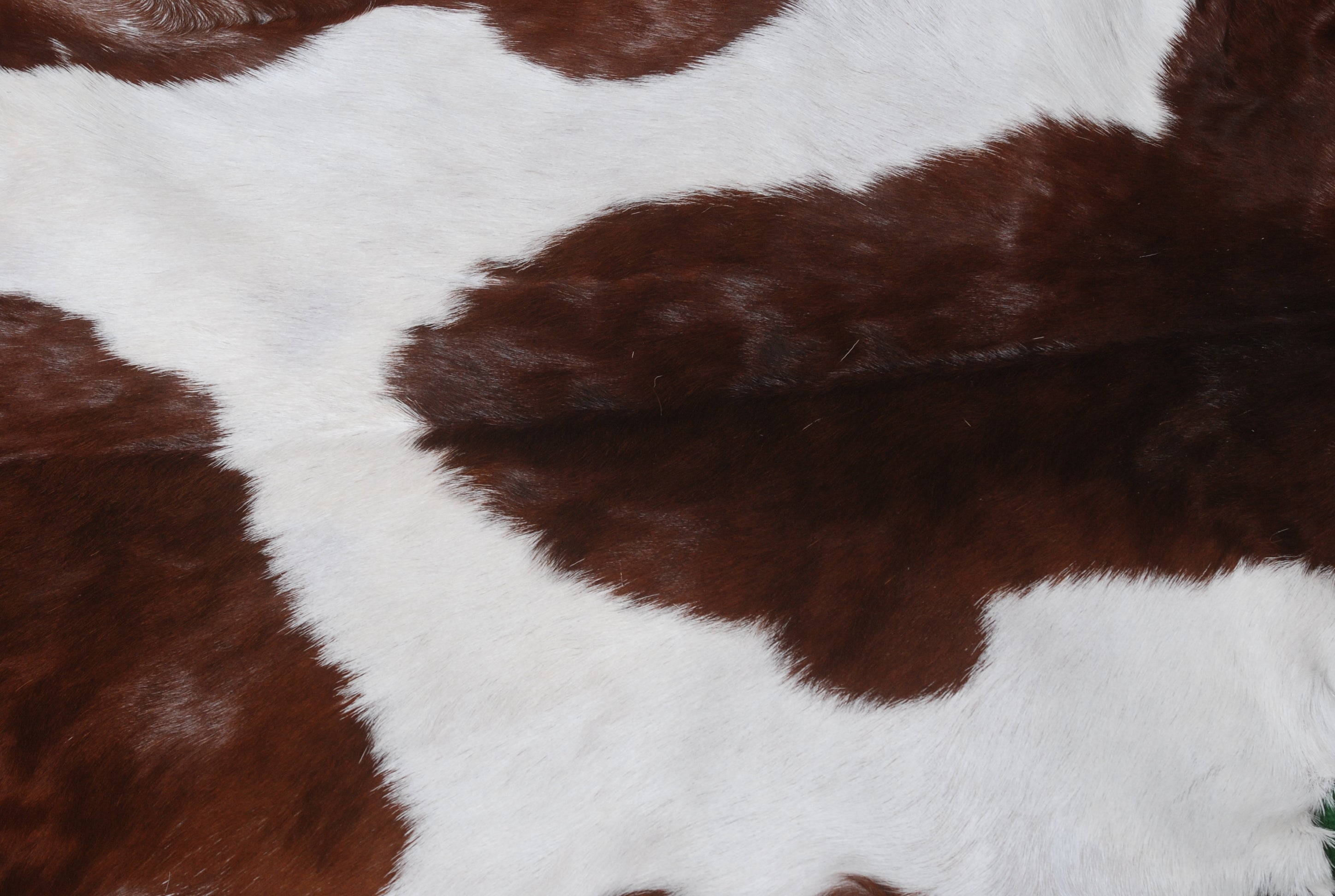 Elegant Dark Brown Goat Skin Rug - Natural Hair-On Accent for Floors or Walls