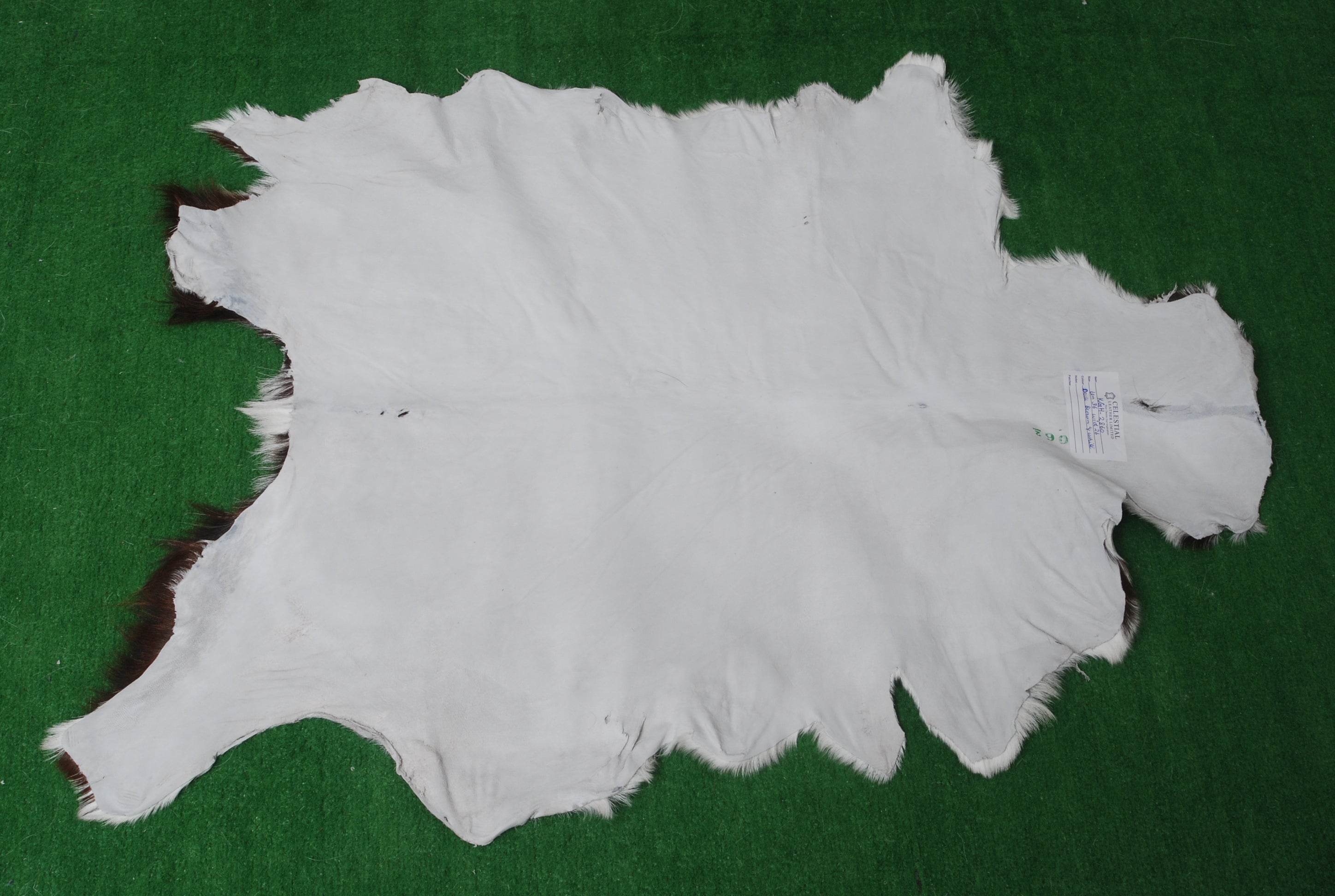 Goat Skin Rug, Black and white Handpicked for Quality, Unique Piece for Sale, Fast UK Delivery
