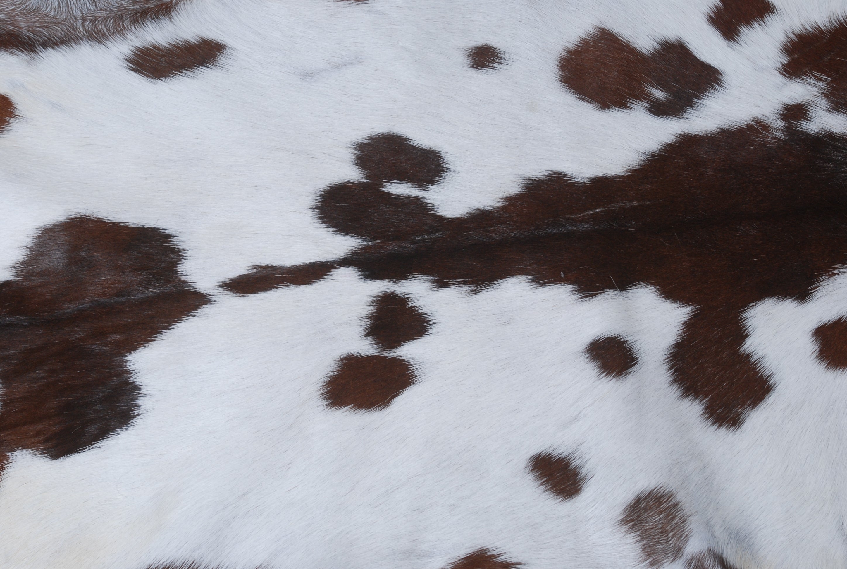 Premium Dark Brown Goat Hide Rug - Soft and Durable for Sophisticated Interiors