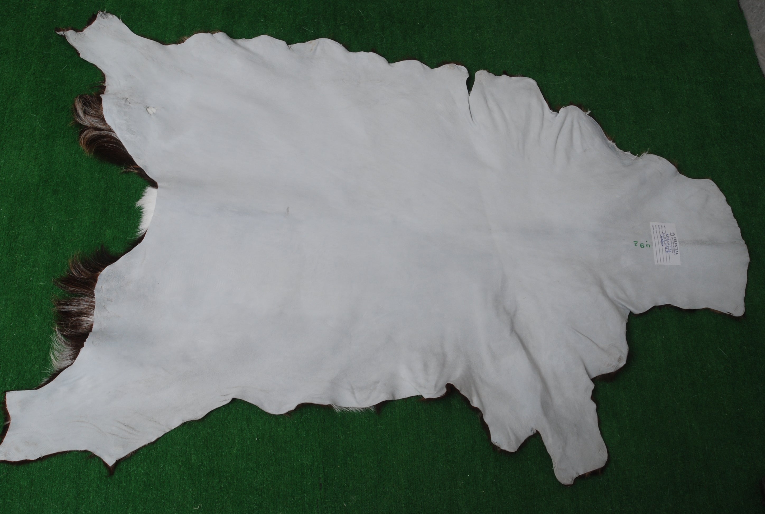 Luxurious Multicolour Goat Skin Rug | Handmade Pure Goat Skin Floor Decor - Soft, Durable, Eco-Friendly - Unique Colour Variations,