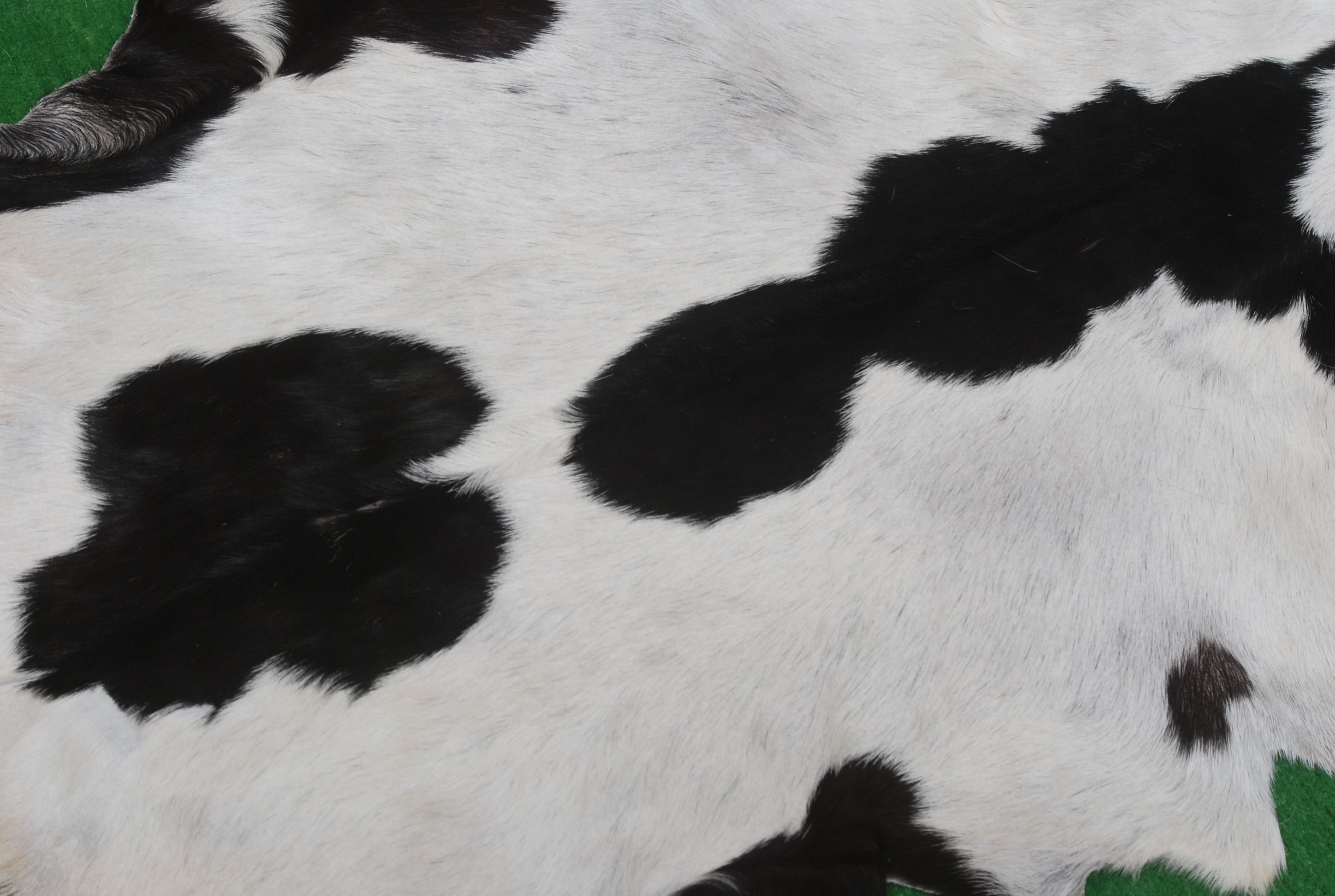 Sophisticated Black & White Goat Skin Rug - Modern Decor Accent for Home - Natural, Soft, and Unique Animal Skin Throw Rug - Celestial Leather Limited