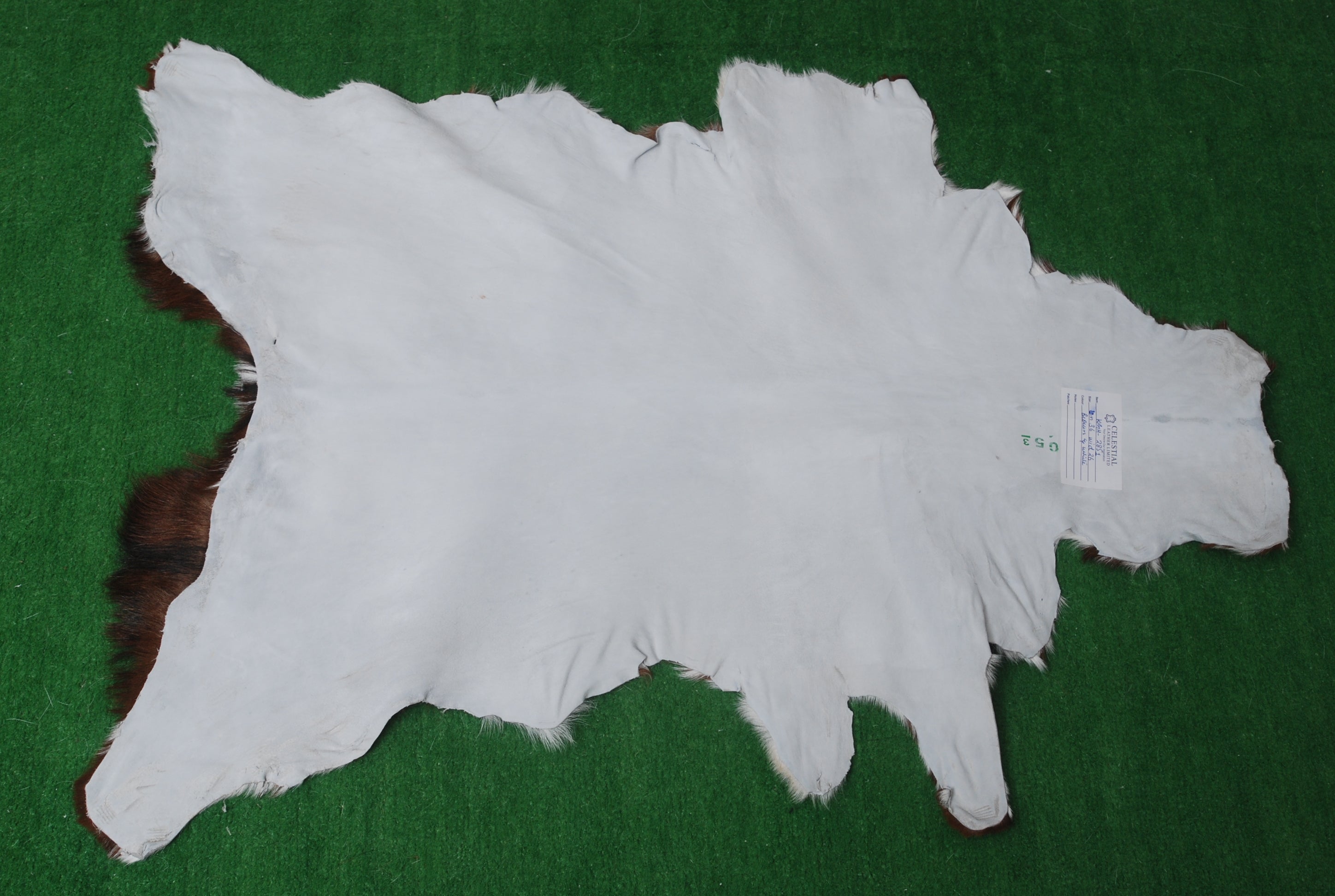 Luxury Brown & White Goat Skin Rug - Premium Hair-On Hide Rug with Unique Patterns, Non-Slip Suede Back, Sustainable - Eco-Friendly