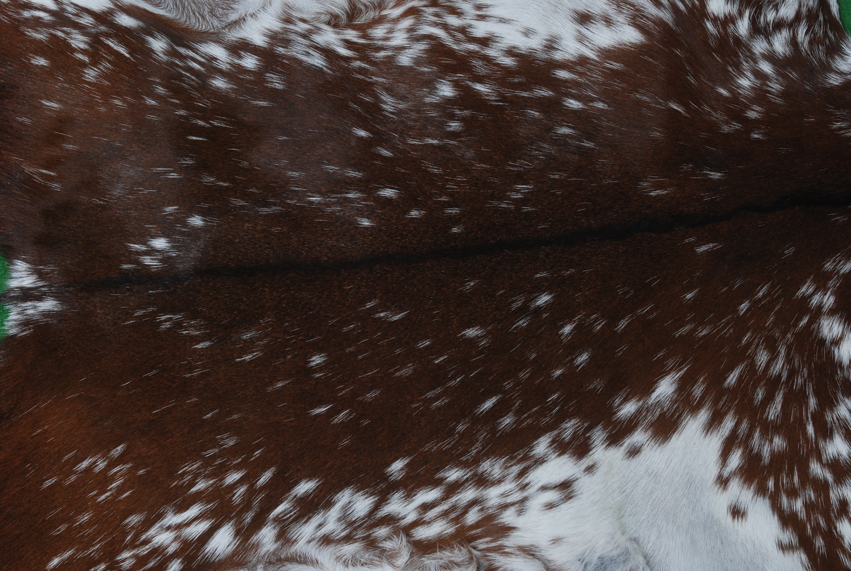 Luxury Brown & White Goat Skin Rug - Premium Hair-On Hide Rug with Unique Patterns, Non-Slip Suede Back, Sustainable - Eco-Friendly