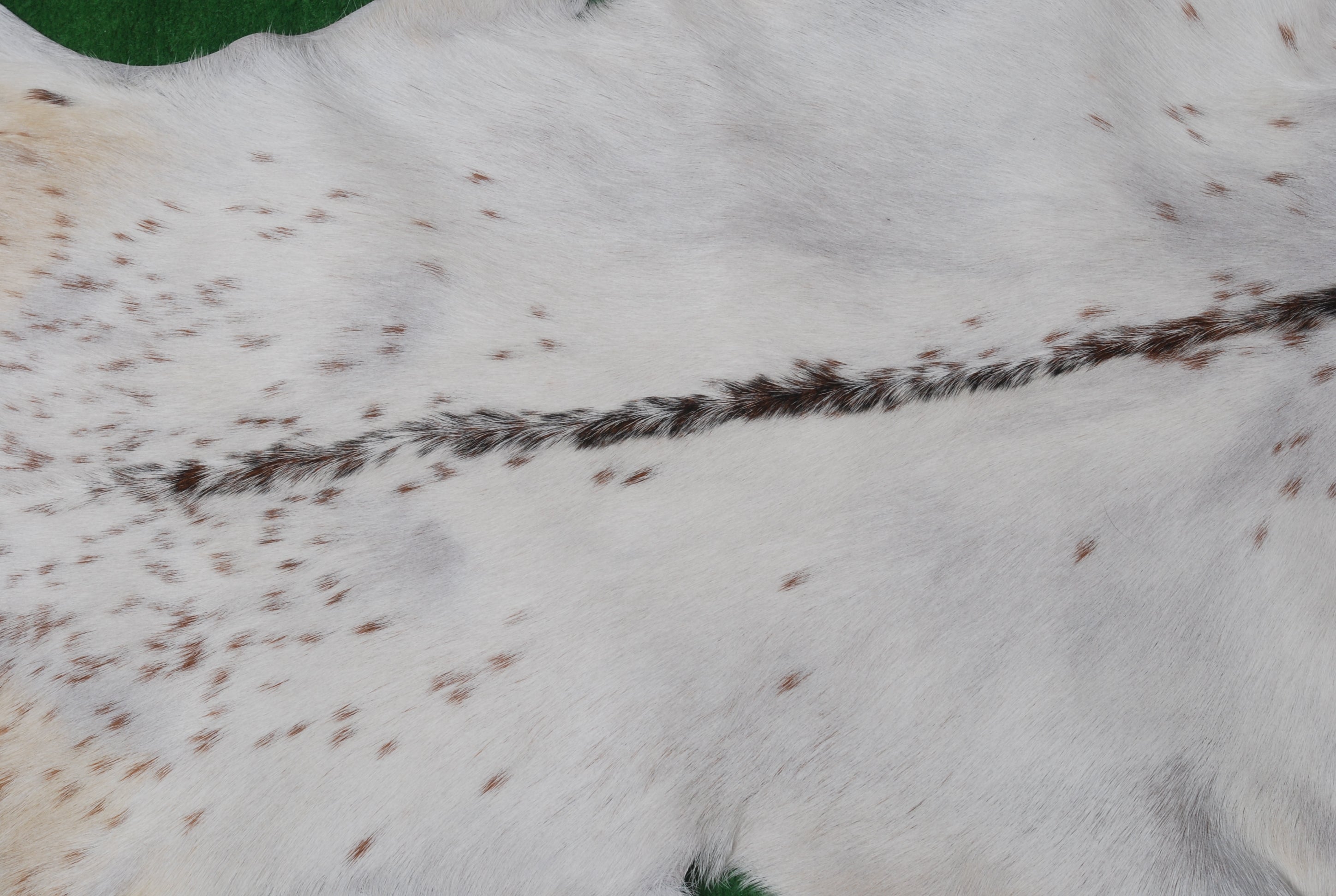 Luxurious Brown & White Goat Skin Rug - Handmade Pure Goat Skin Floor Rug - Unique Design - Hypoallergenic & Kid-Friendly - Non-Shedding