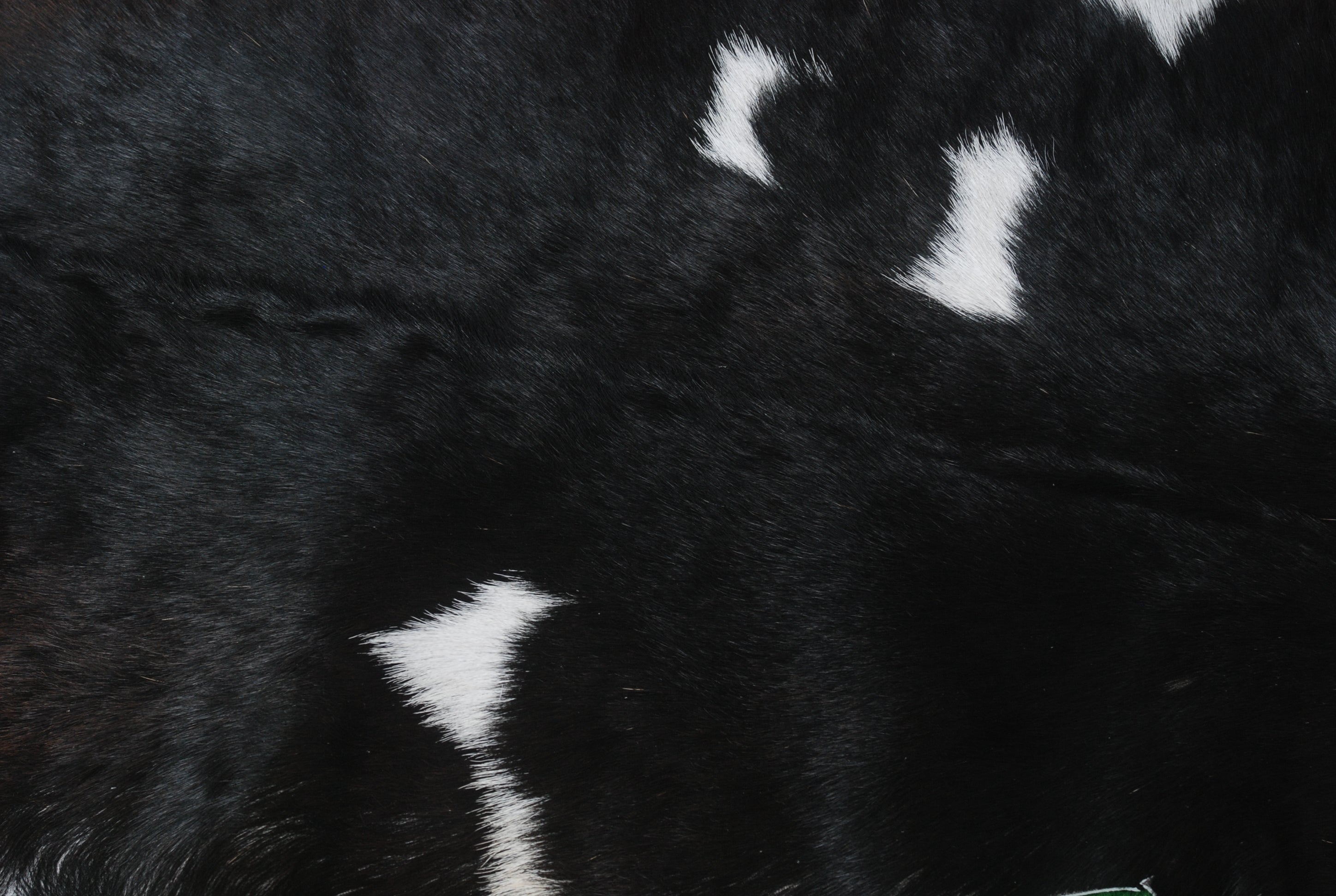 Luxurious Black & White Goat Skin Rug - Modern Soft Décor - Celestial Leather Limited