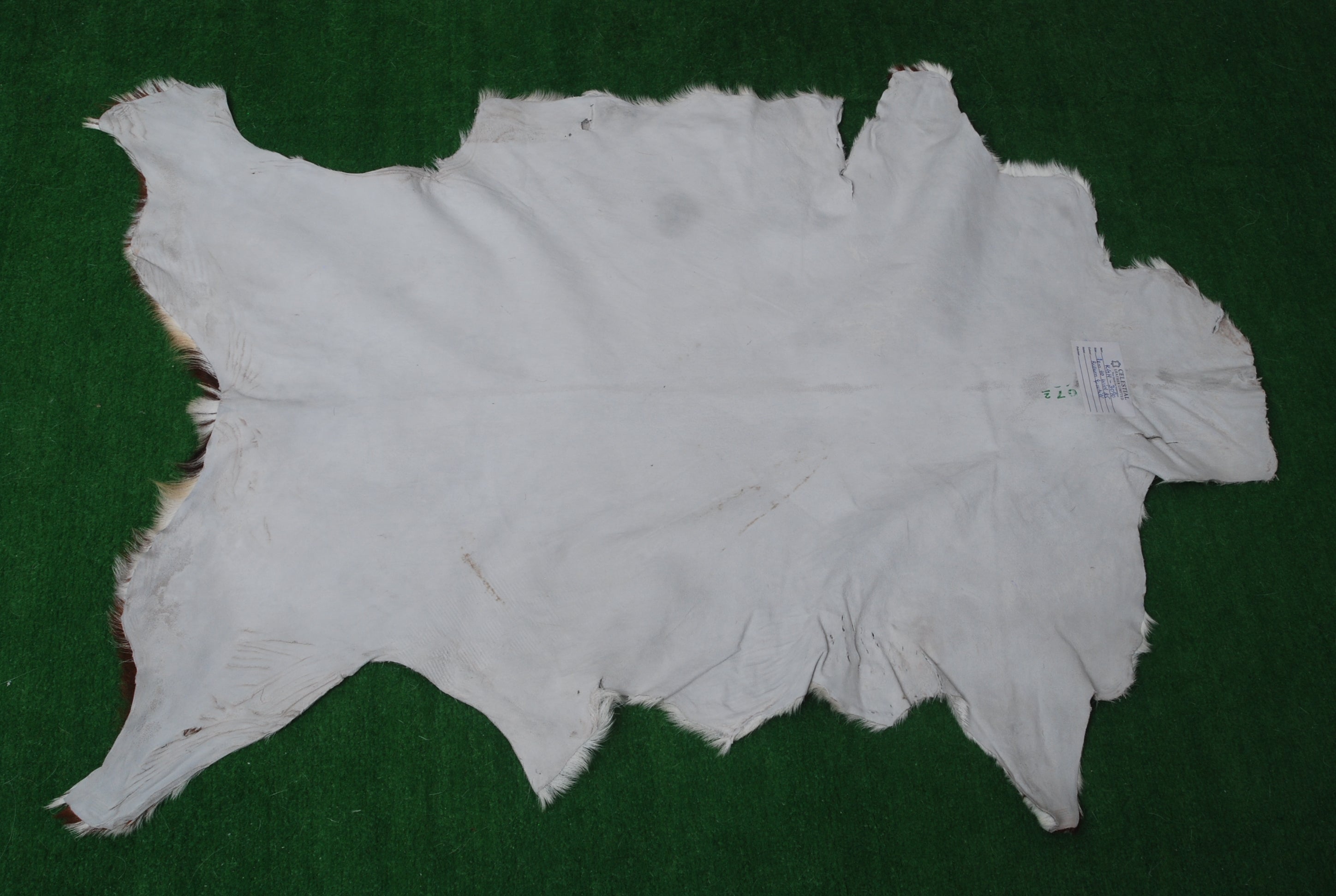 Luxurious Brown and White Goat Skin Rug - Premium Hair-On Eco-Friendly Goatskin Rug with Unique Patterns and Non-Slip Suede Back - Celestial Leather Limited