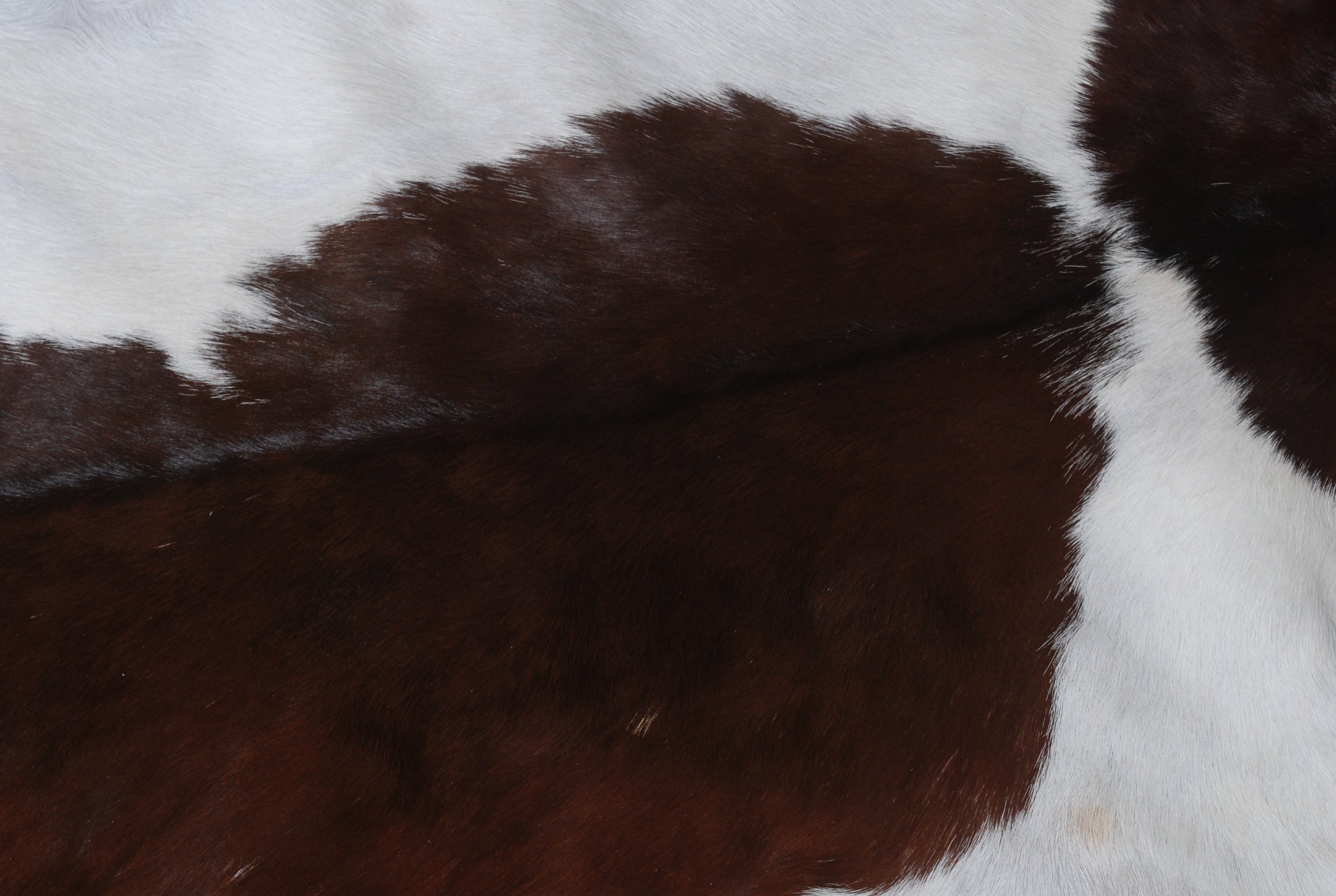 Stylish Dark Brown Goat Hide Rug - Perfect Accent for Contemporary Homes