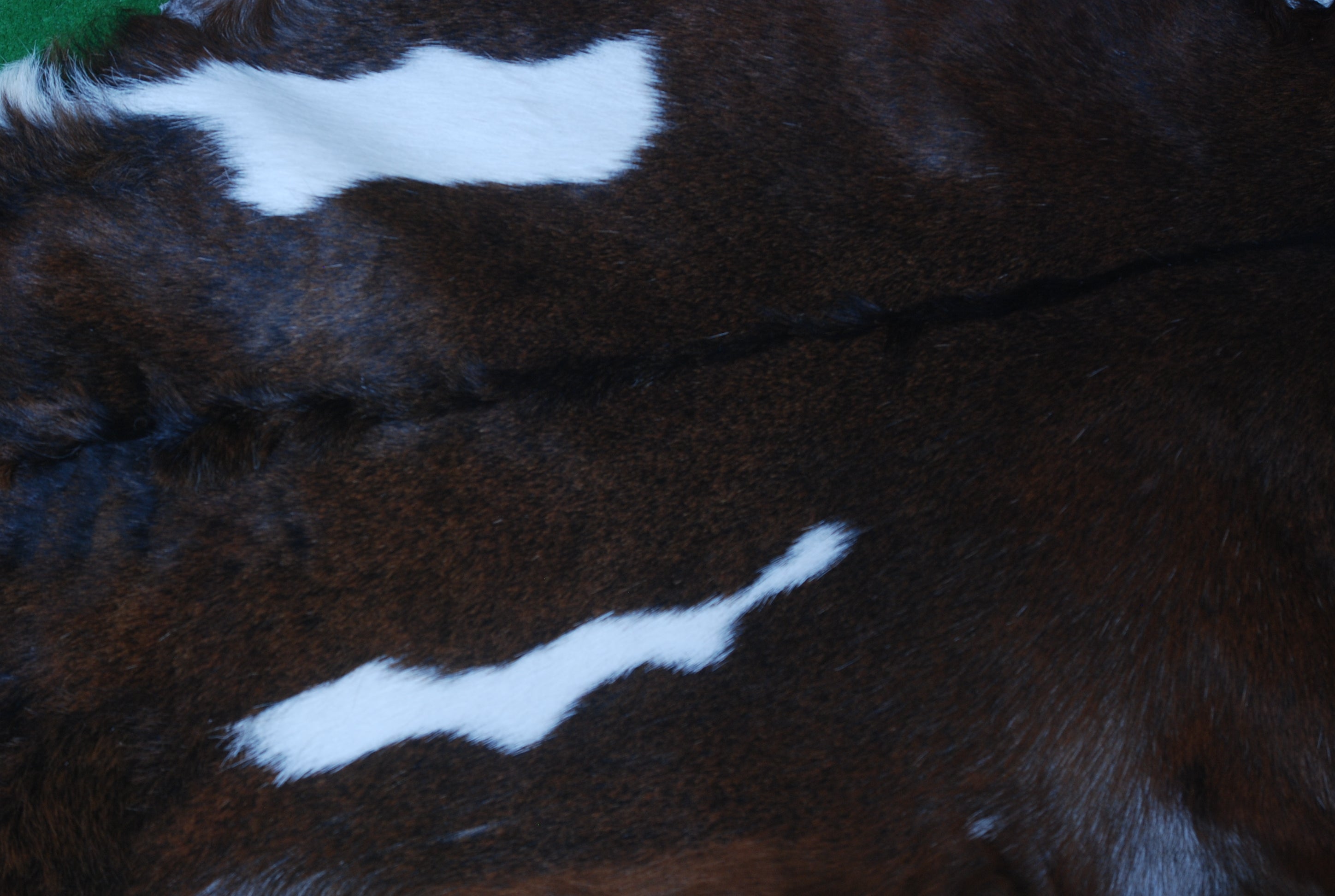 Authentic Dark Brown Goat Hide Rug - Unique Pattern for Modern and Classic Décor