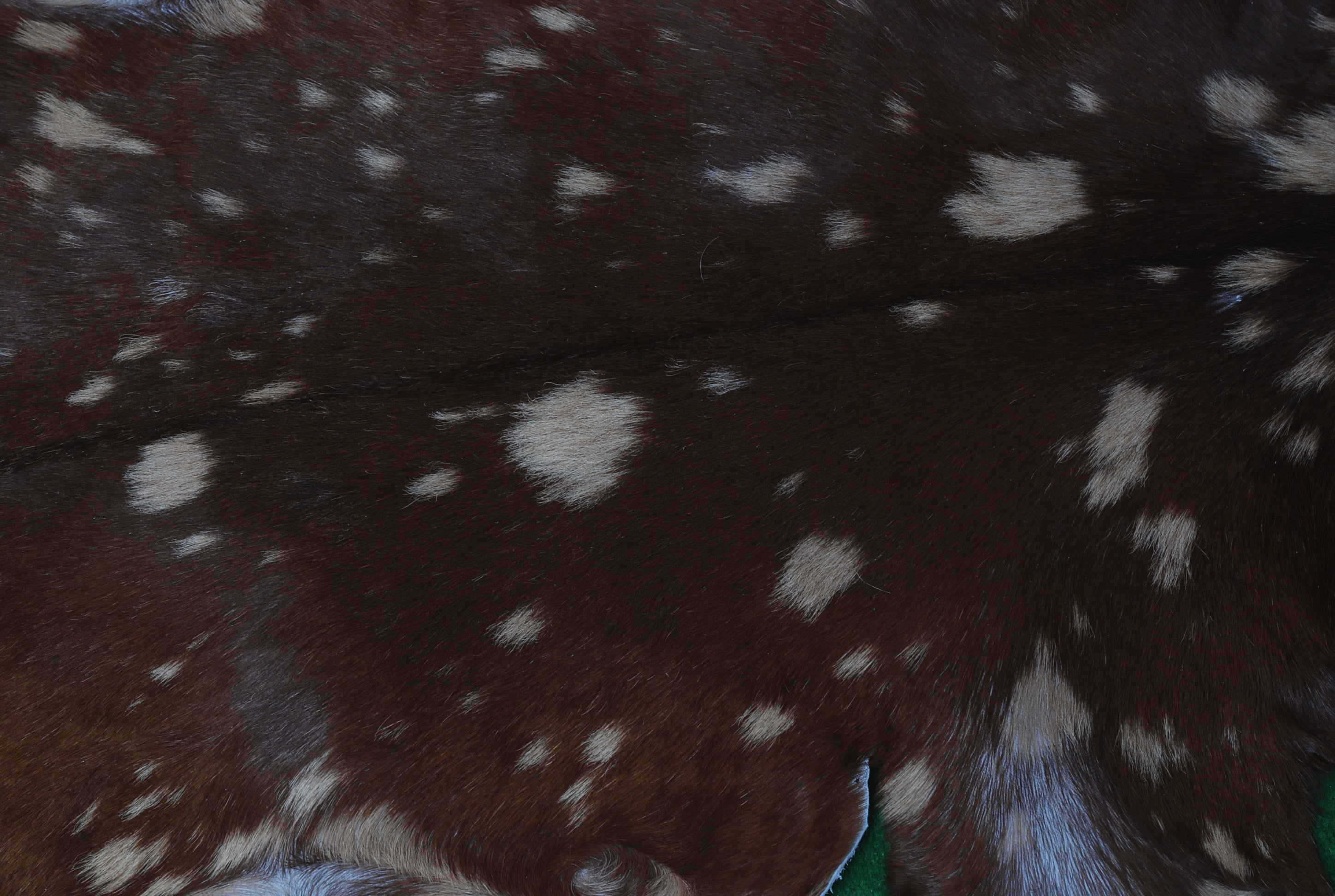 Handcrafted Dark Brown Goat Skin Rug – Authentic Elegance for Your Home