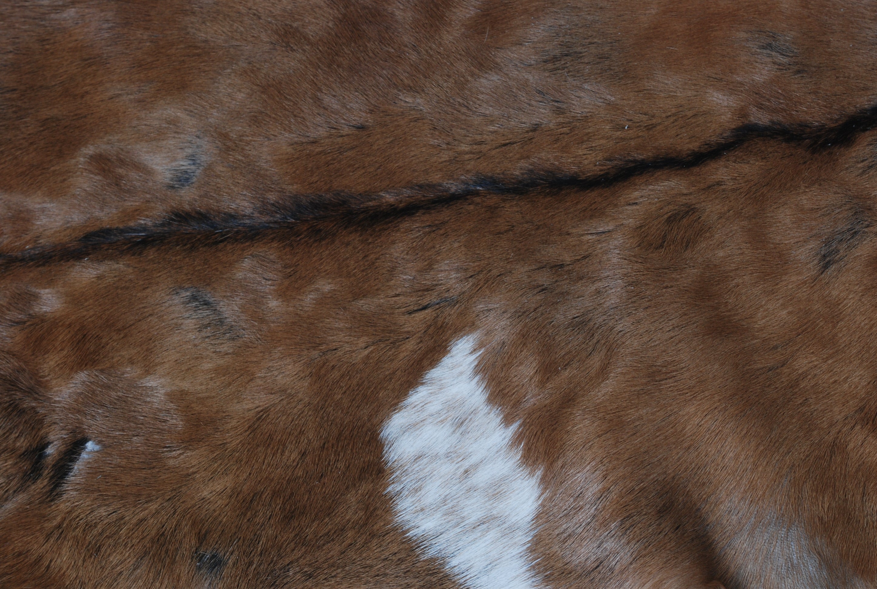 Natural Hair-On Dark Brown Goat Skin Rug - Elegant and Durable for Any Room