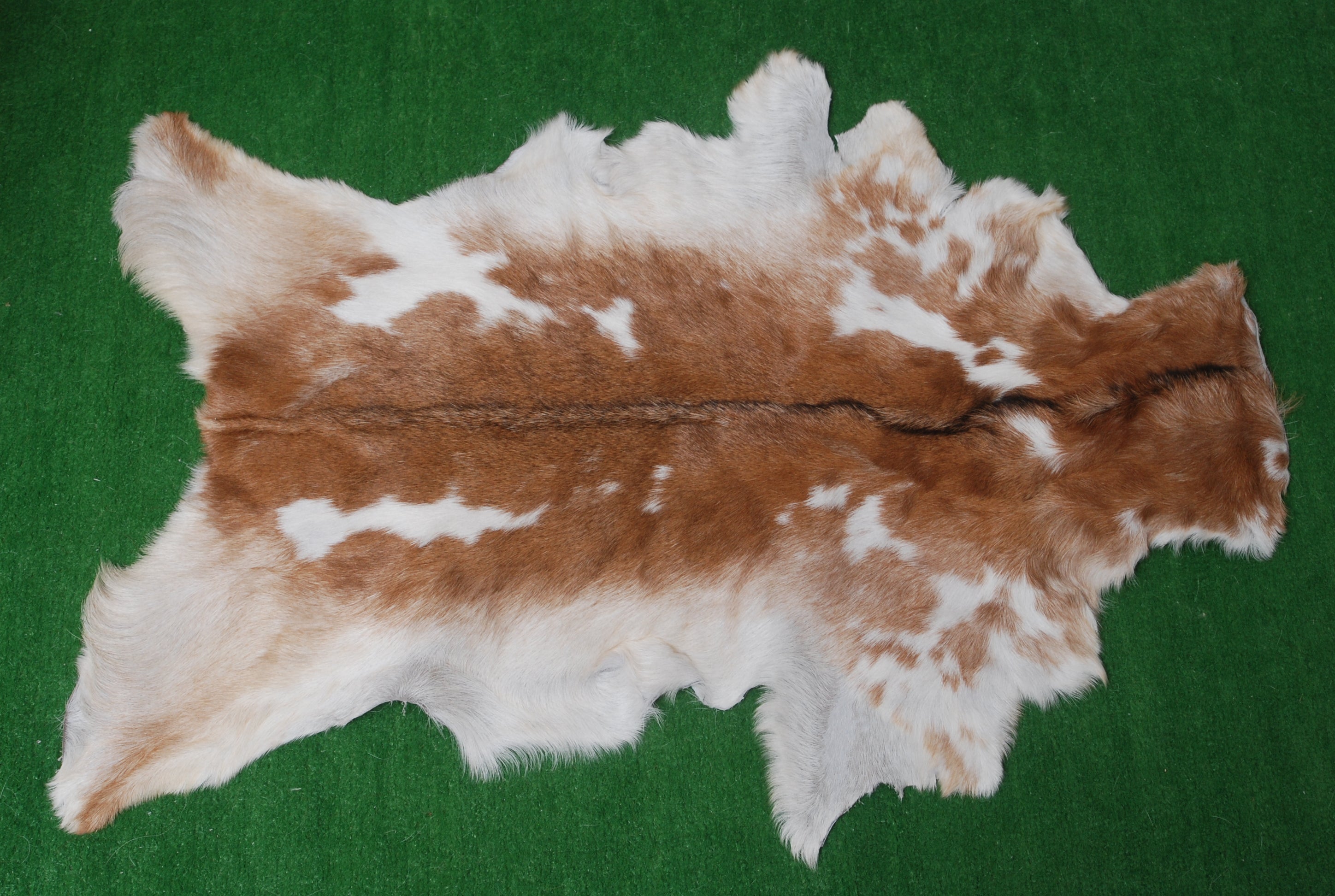 Luxury Brown & White Goat Skin Rug - Premium Handcrafted Hide Rug for Home Decor - Celestial Leather Limited