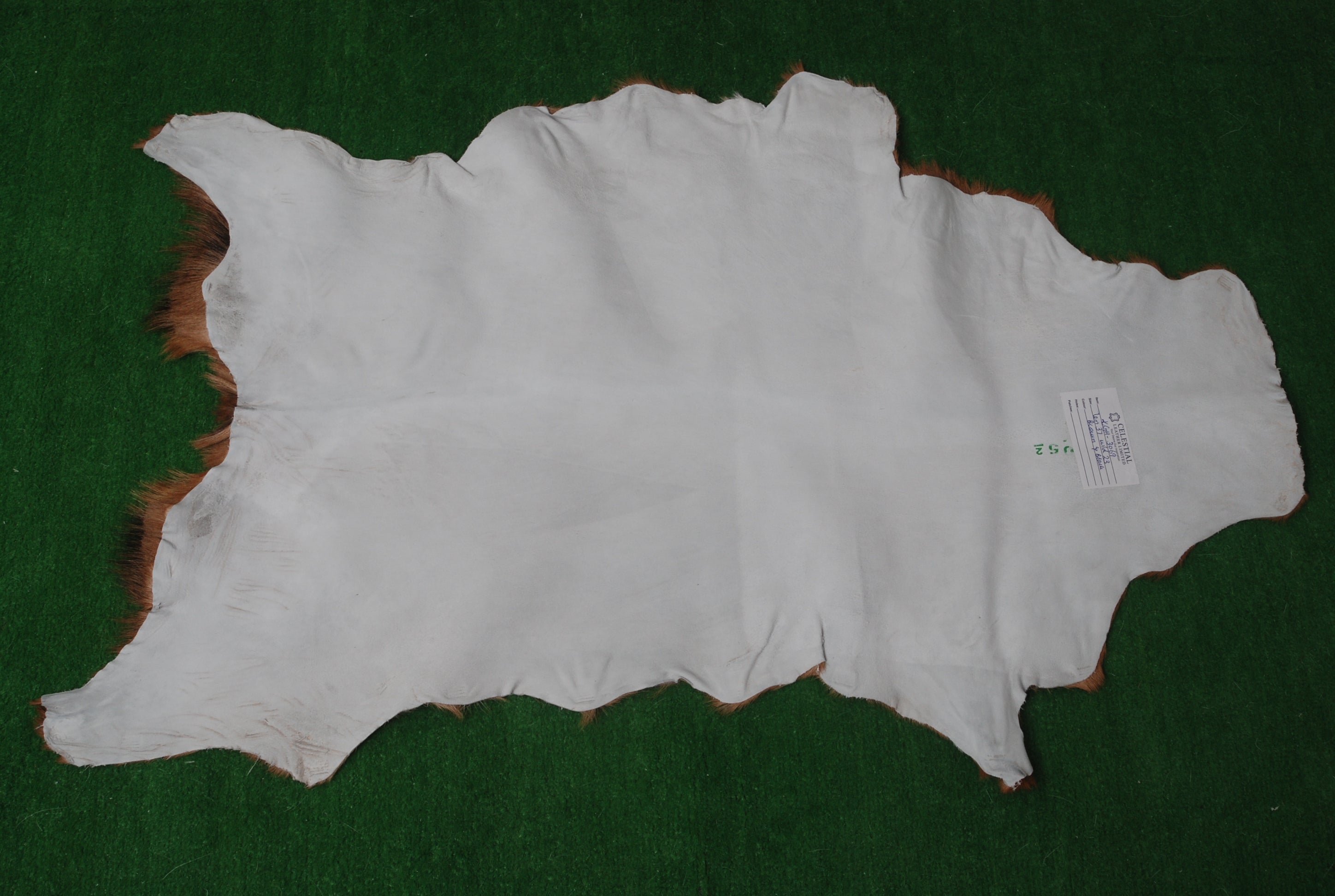 Premium Brown & White Goat Hide Rug - Luxury Hair-on Goatskin Rug, Sustainable - Eco-Friendly, Unique Patterns, Non-Slip Suede Back