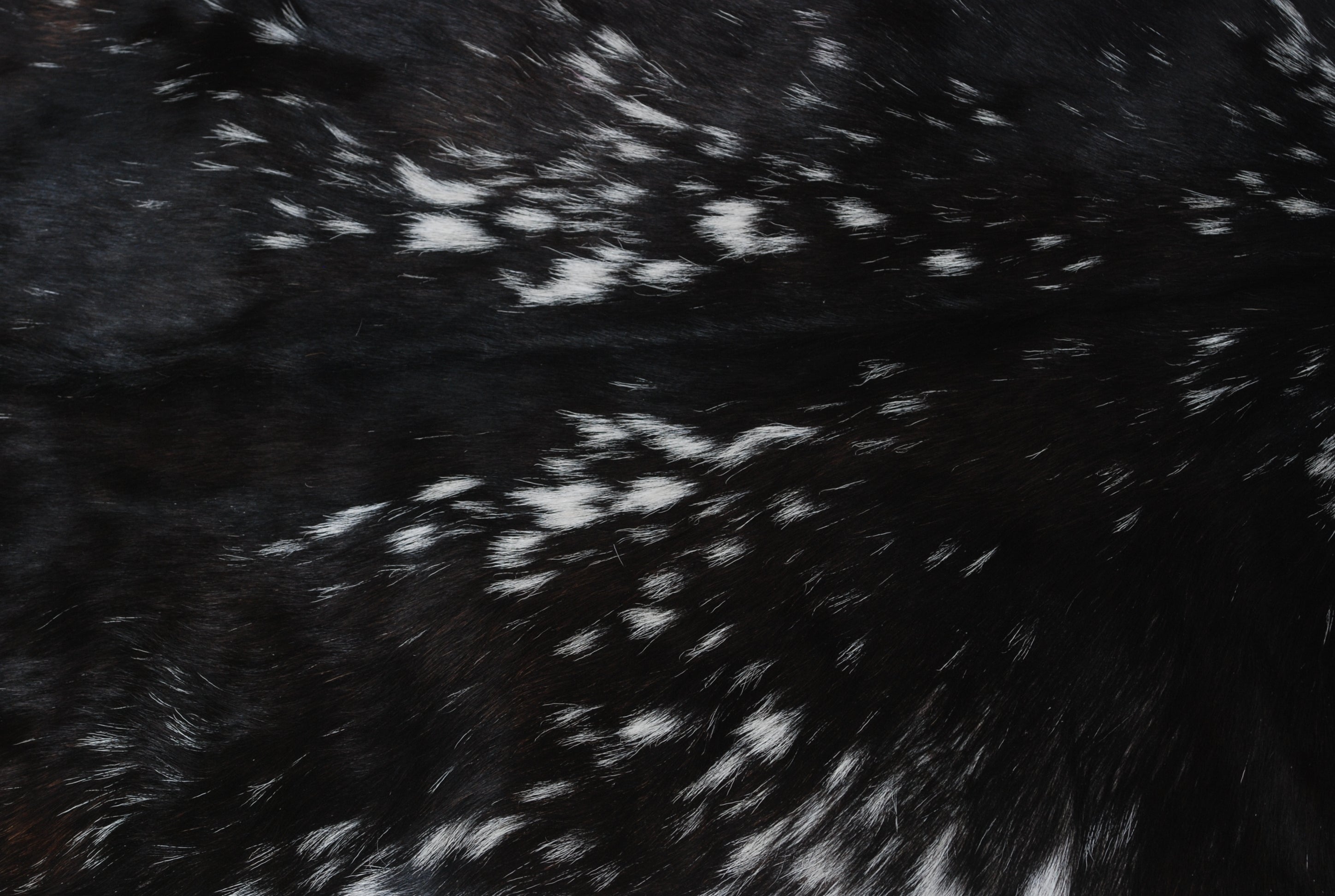 Luxurious Black & White Goat Skin Rug - Premium Quality Rug - Celestial Leather Limited