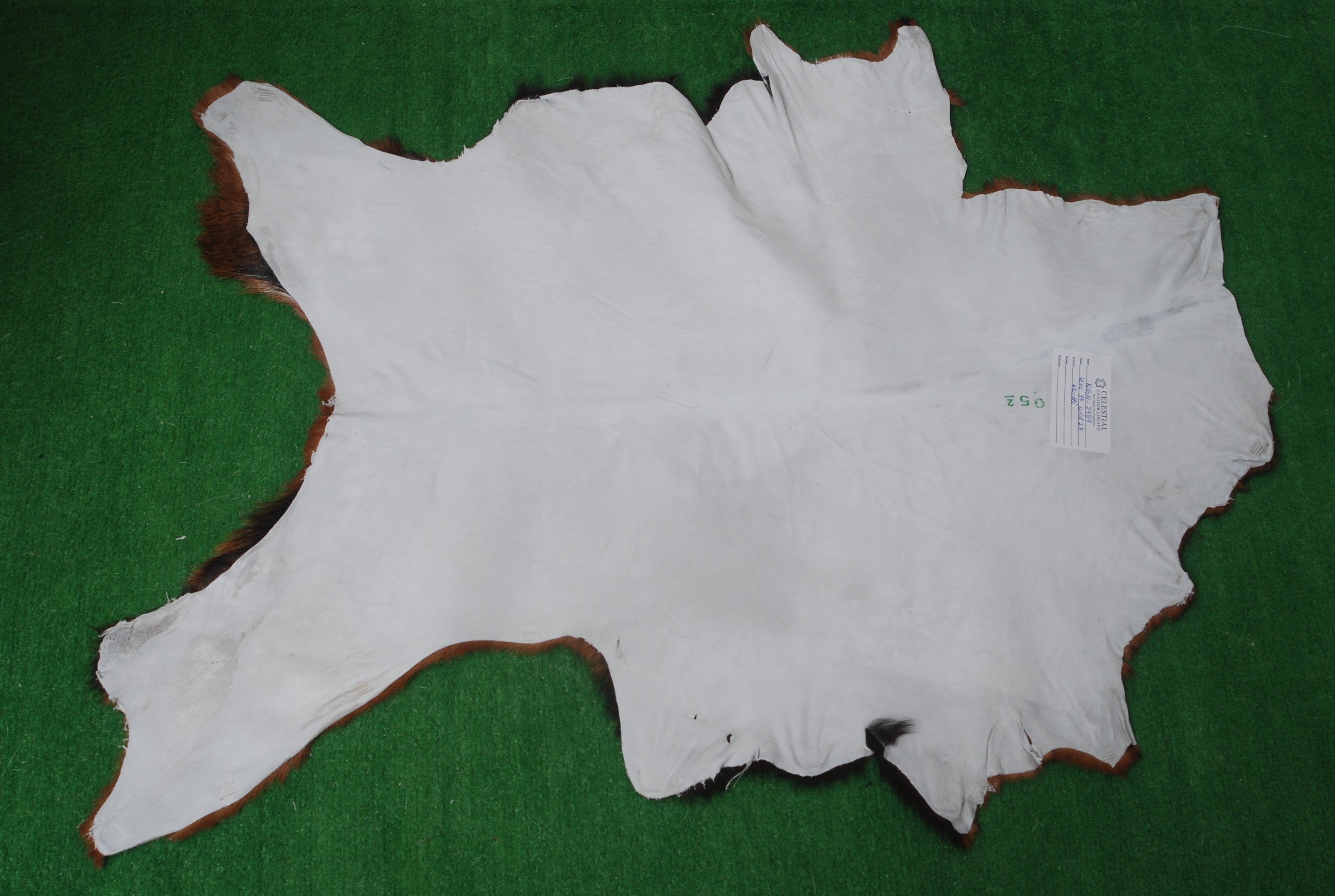 Natural Dark Brown Goat Hide Rug - Perfect for Modern and Rustic Spaces