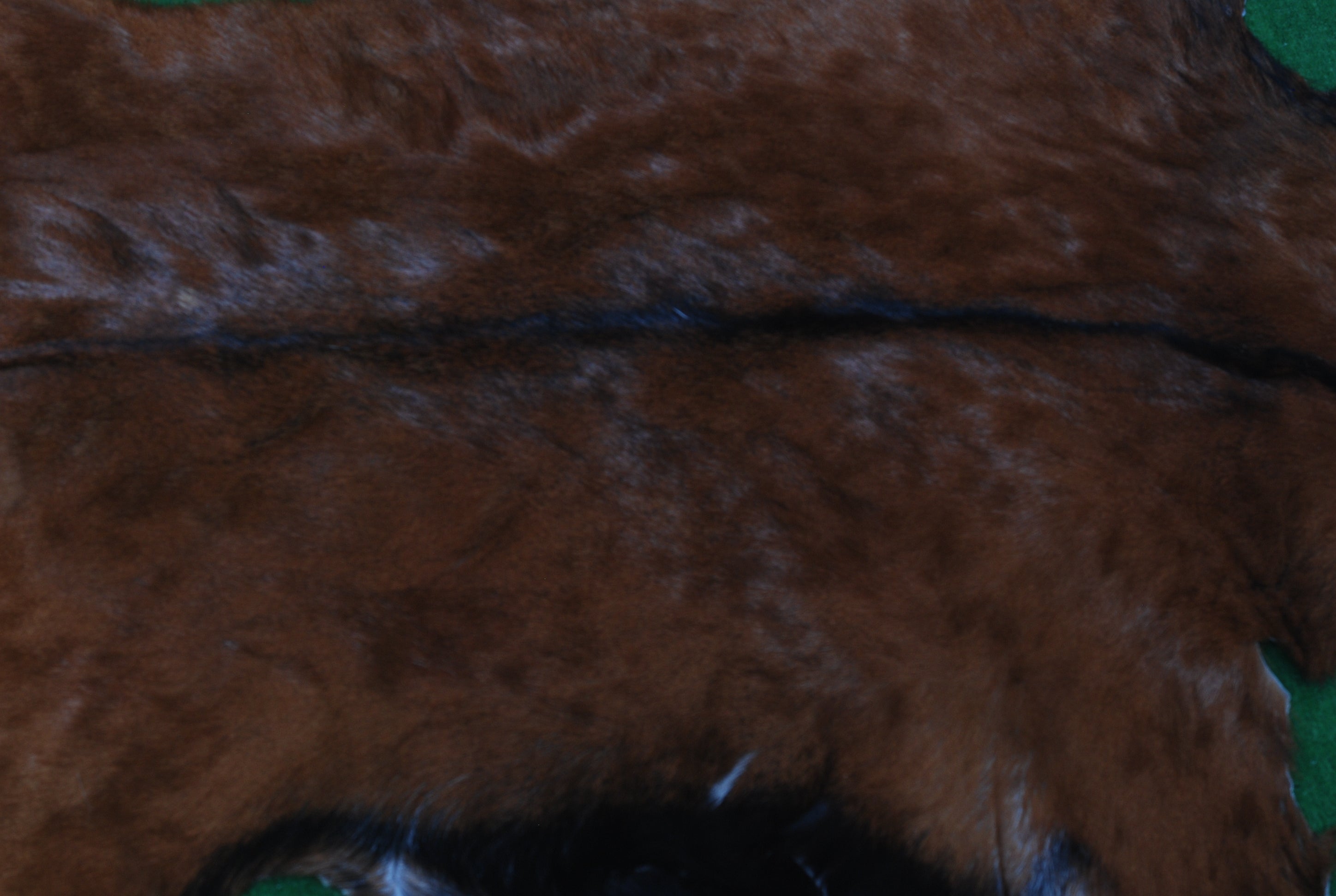 Natural Dark Brown Goat Hide Rug - Perfect for Modern and Rustic Spaces