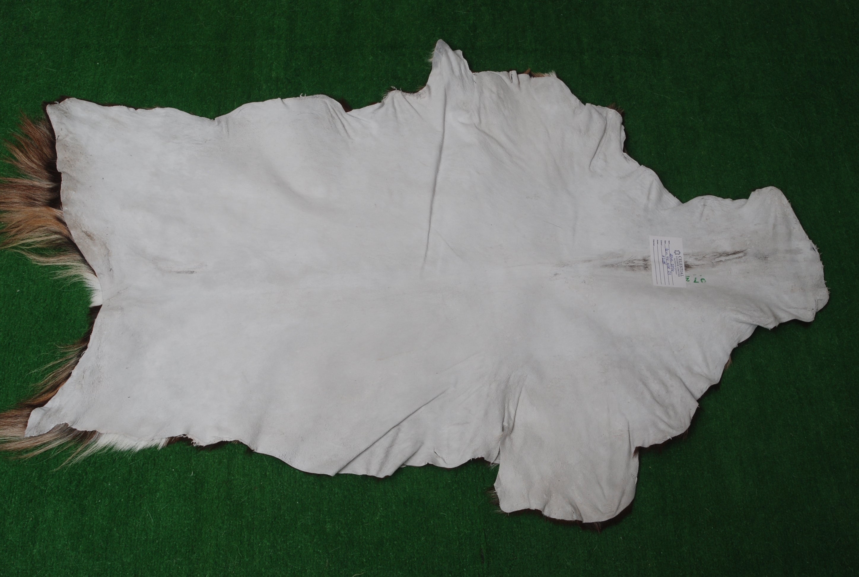 Tri-Color Handmade Goat Skin Rug – Unique Style for Your Home Décor