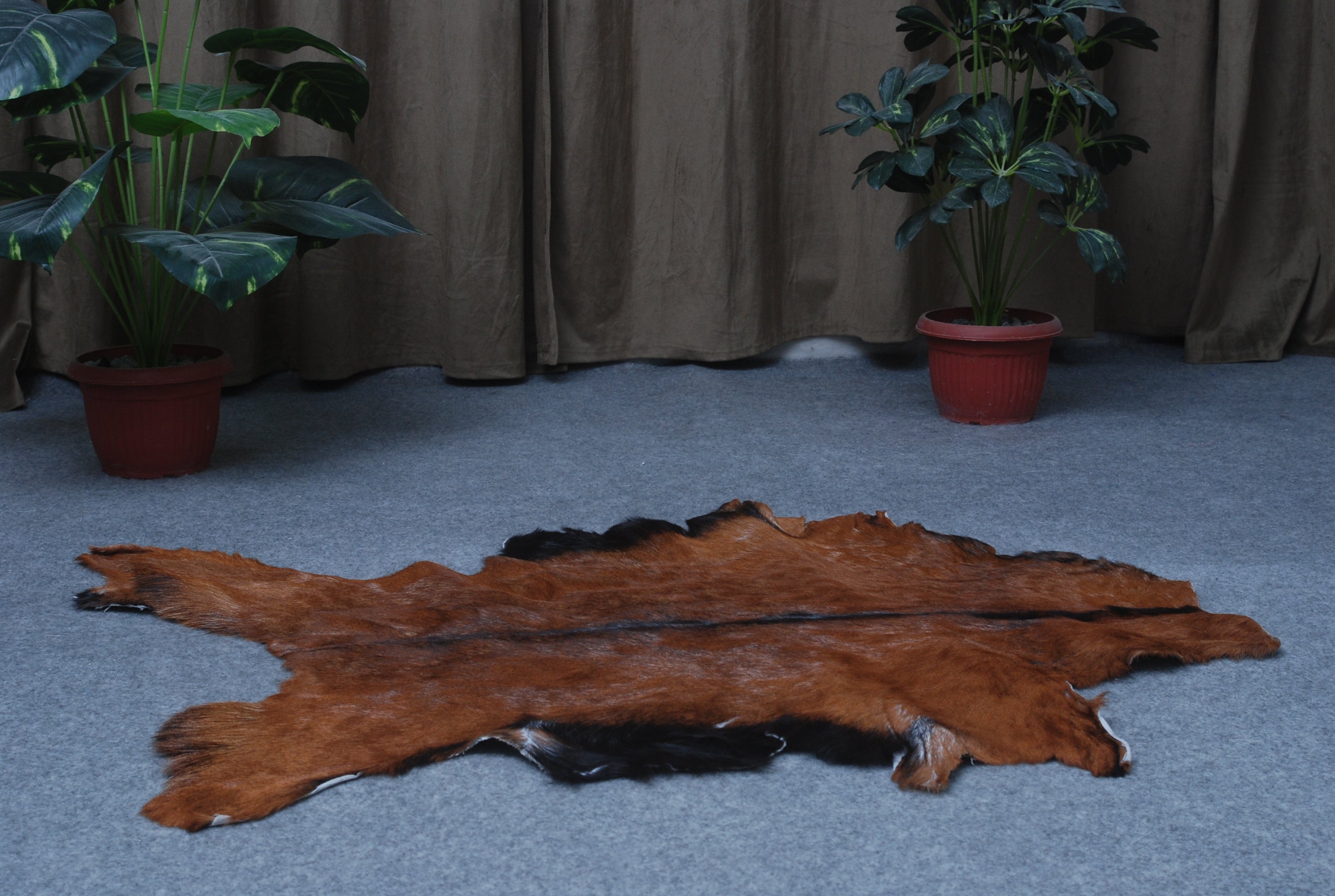 Natural Dark Brown Goat Hide Rug - Perfect for Modern and Rustic Spaces