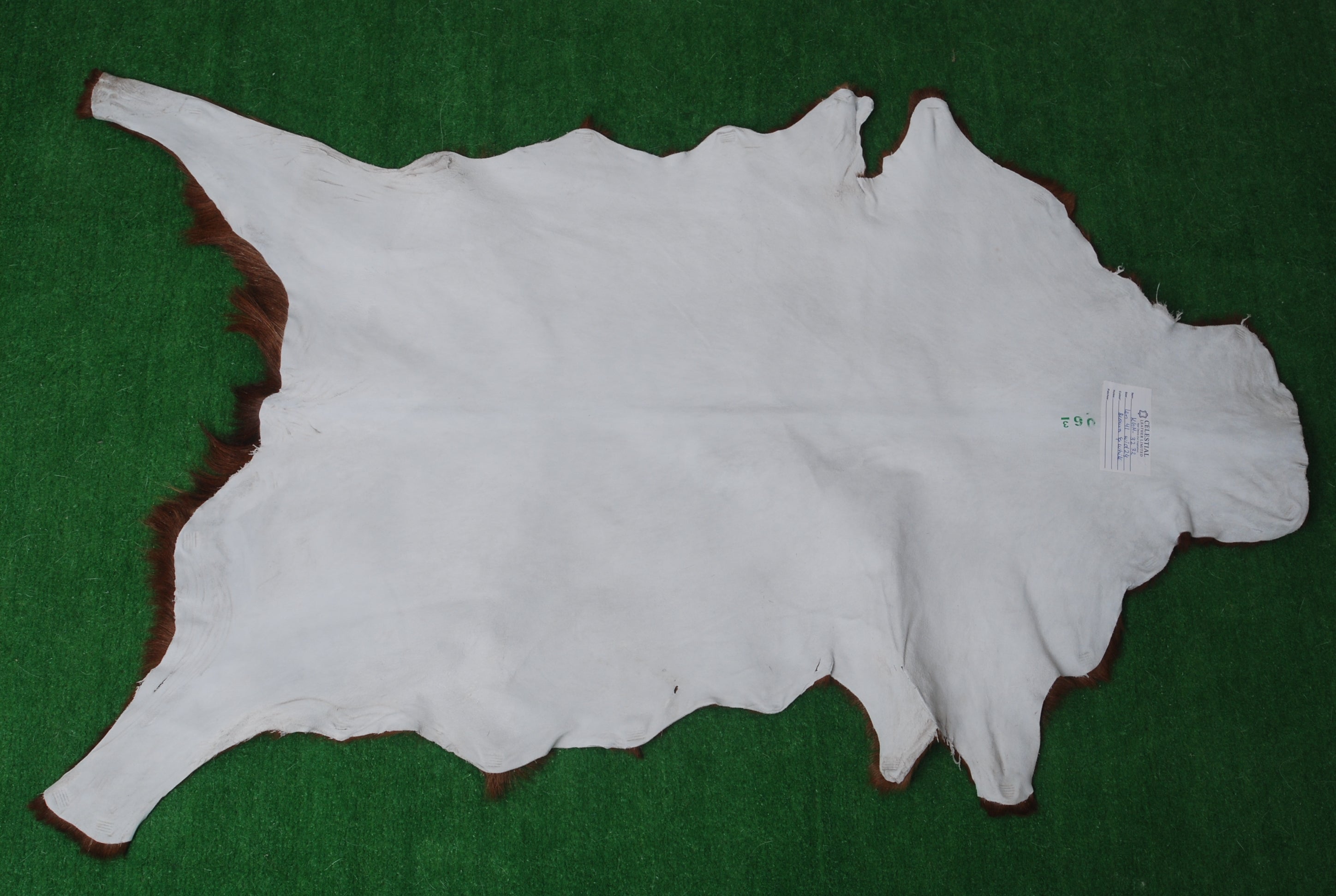 Luxurious Brown and White Goat Skin Rug - Premium Handcrafted Hair-On Goatskin Rug for Elegant Home Decor - Celestial Leather Limited