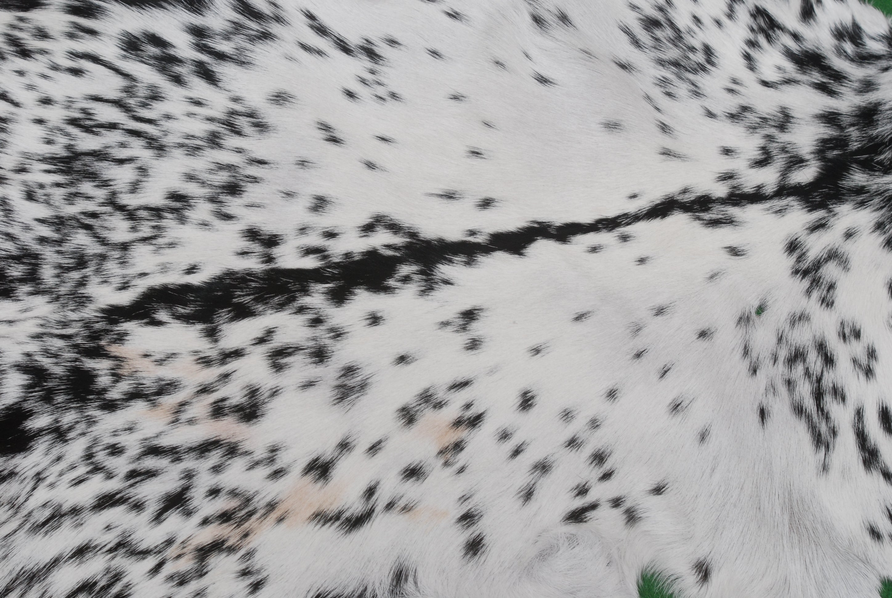 Unique Natural Black & White Goat Skin Rug - Sustainable Animal Hide Throw Floor Rug - Modern Eco-Friendly Home Décor Rug - Celestial Leather Limited