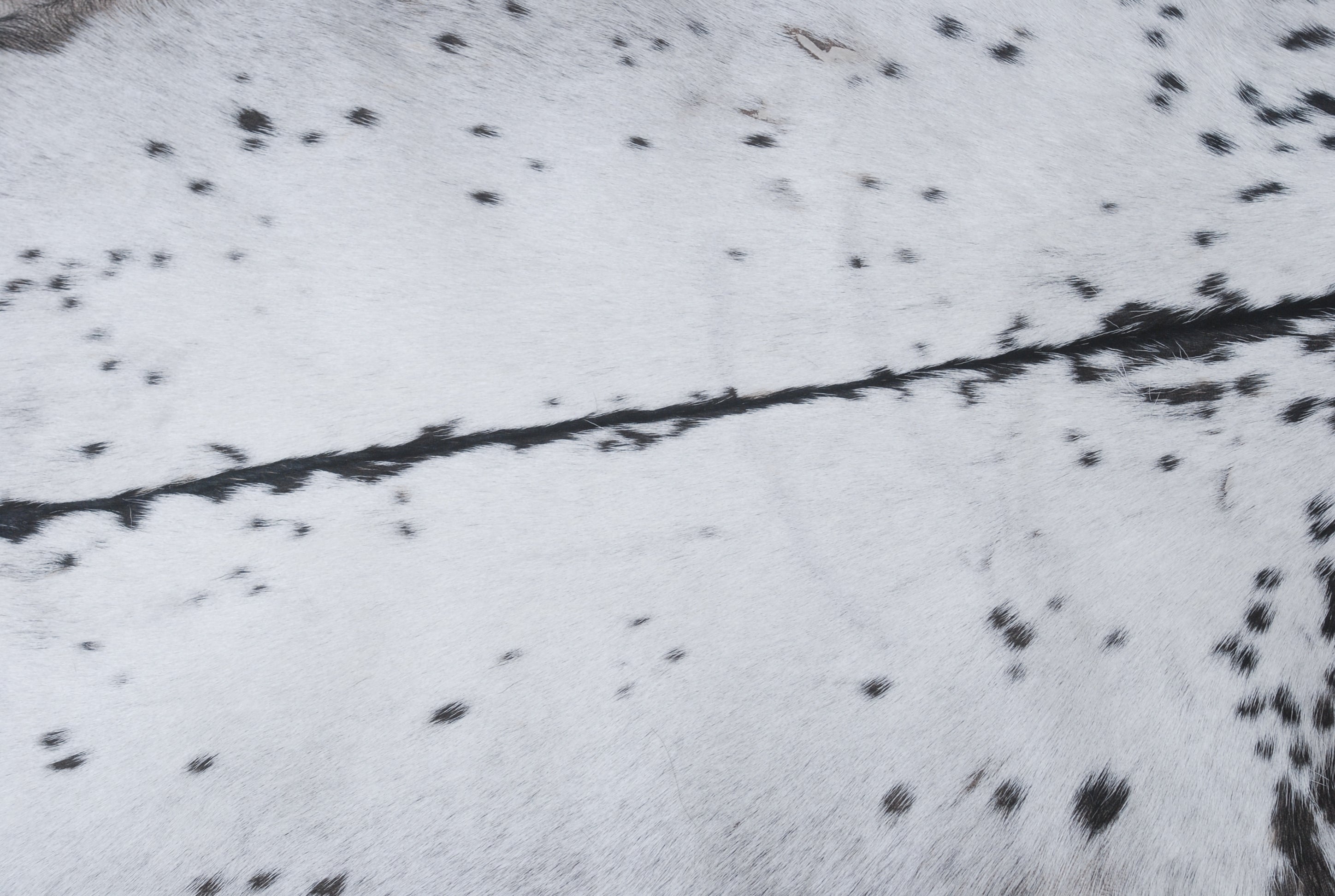 Black and White Handmade Goat Skin Rug – Rustic Charm for Your Home