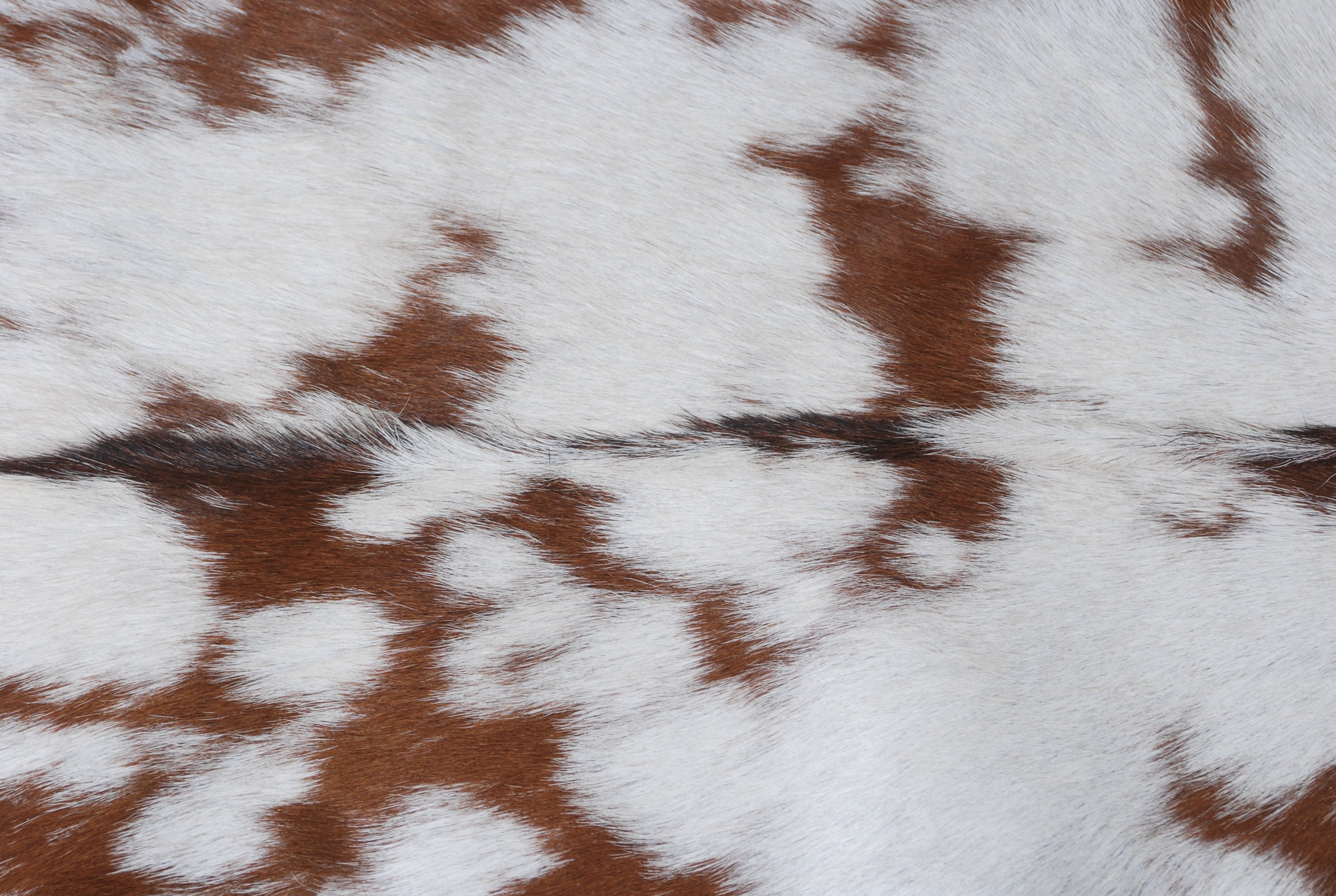 Stylish Dark Brown Goat Hide Rug - Perfect Accent for Contemporary Homes
