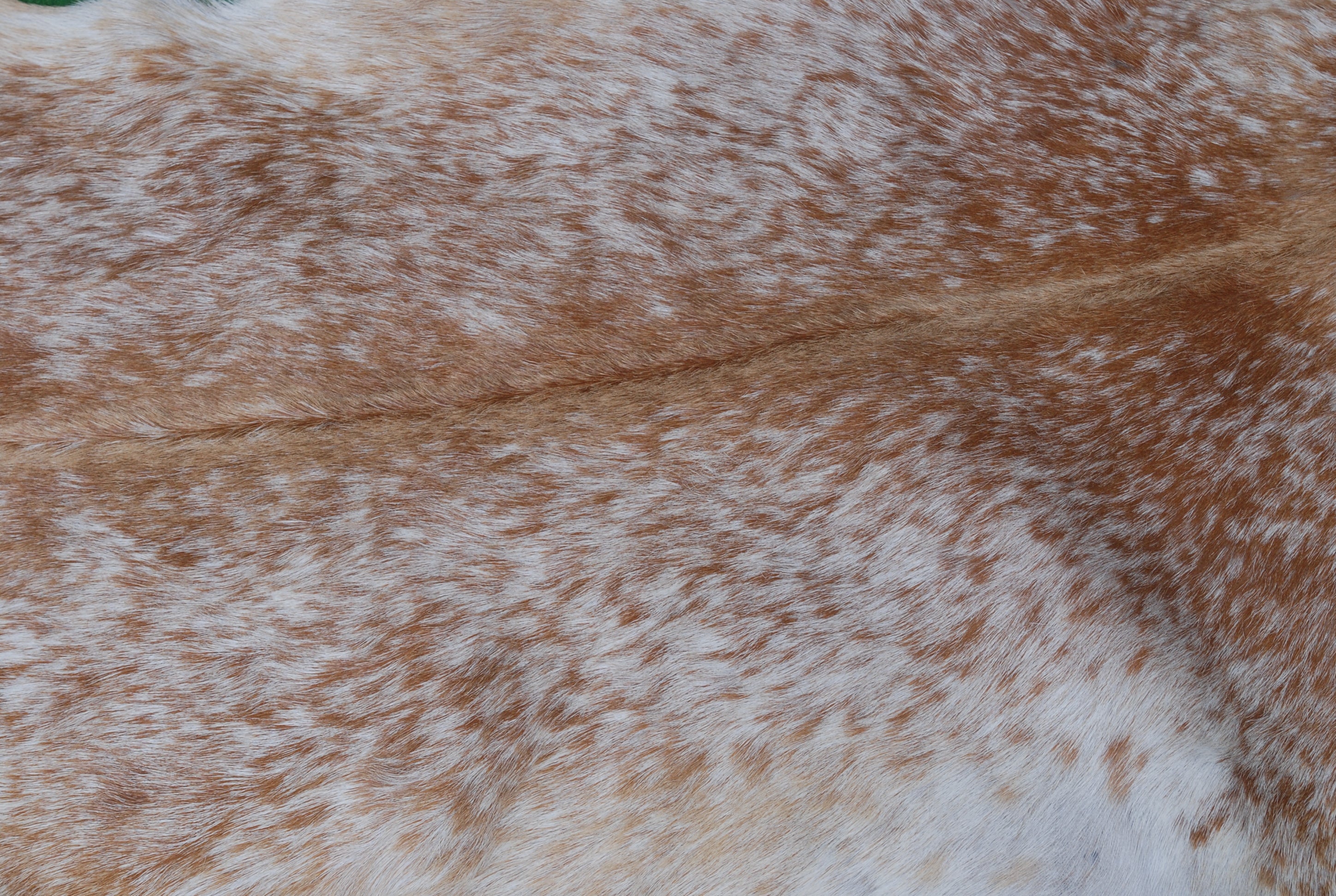 Luxurious Brown & White Goat Hide Rug - Premium Hair-On Skin, Unique Handcrafted Patterns - Hypoallergenic - Eco-Friendly - Various Sizes - Celestial Leather Limited